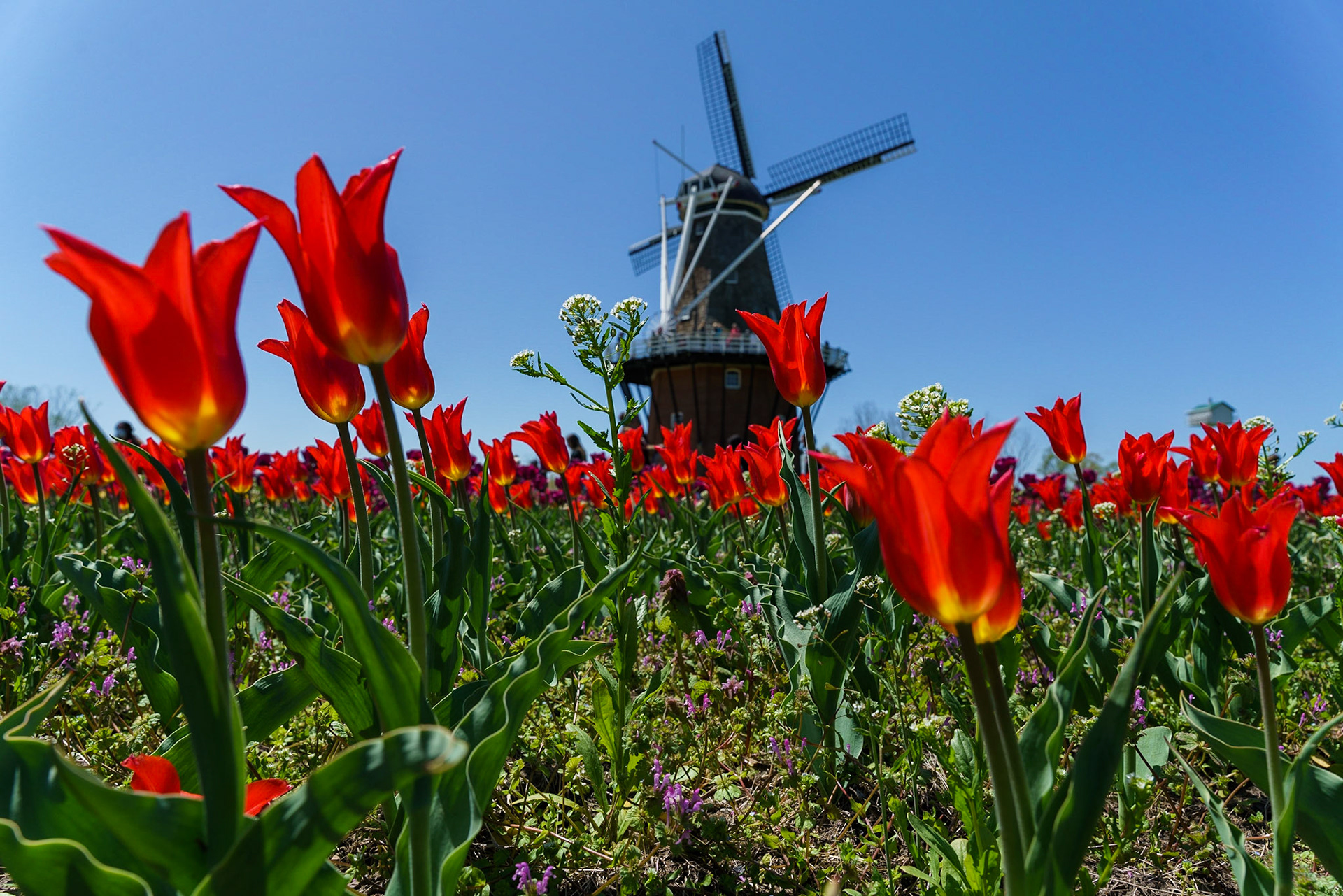 Photo by Jon Roost (www.jonroostphotos.com)