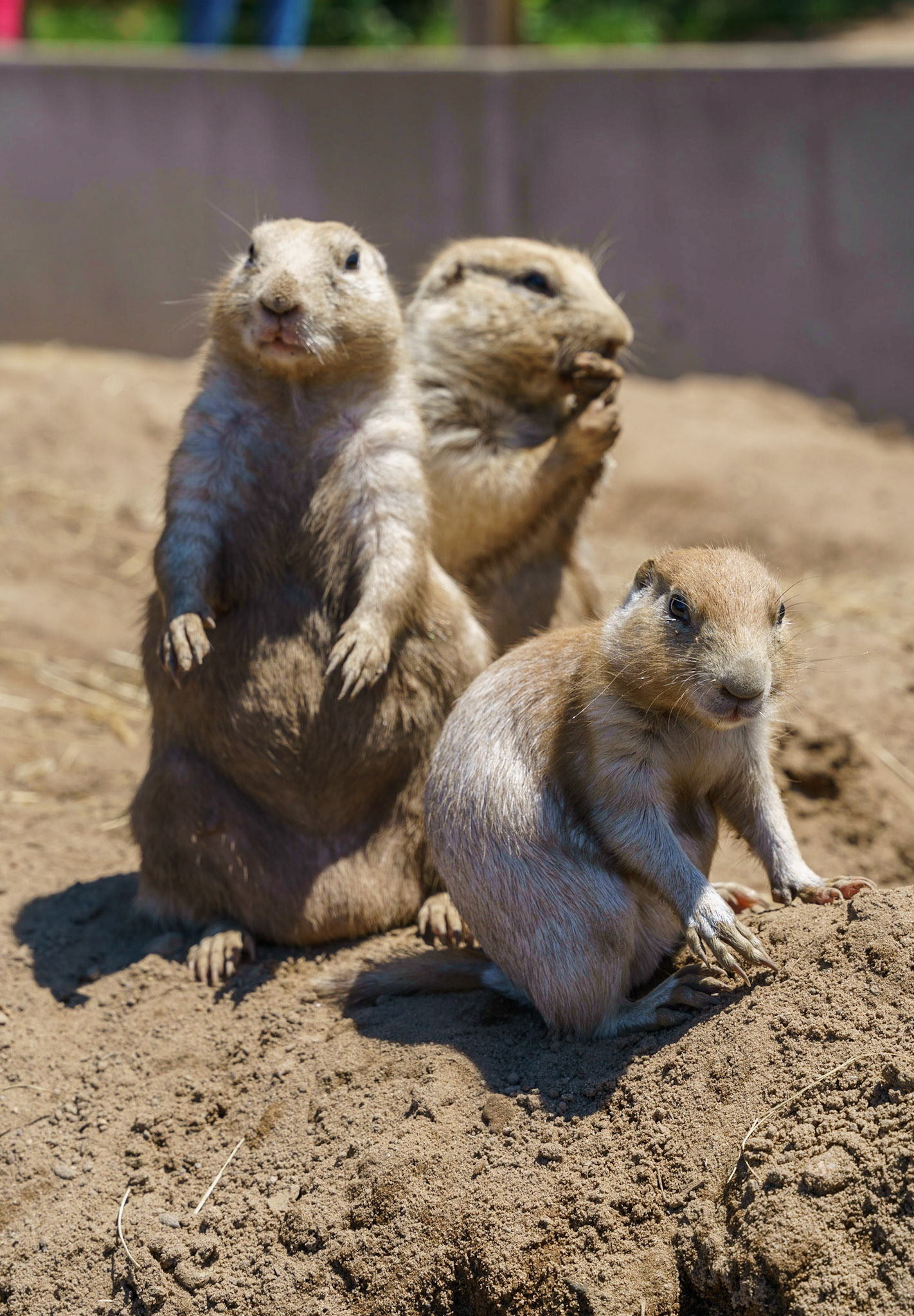 Photo by Jon Roost (www.jonroostphotos.com)