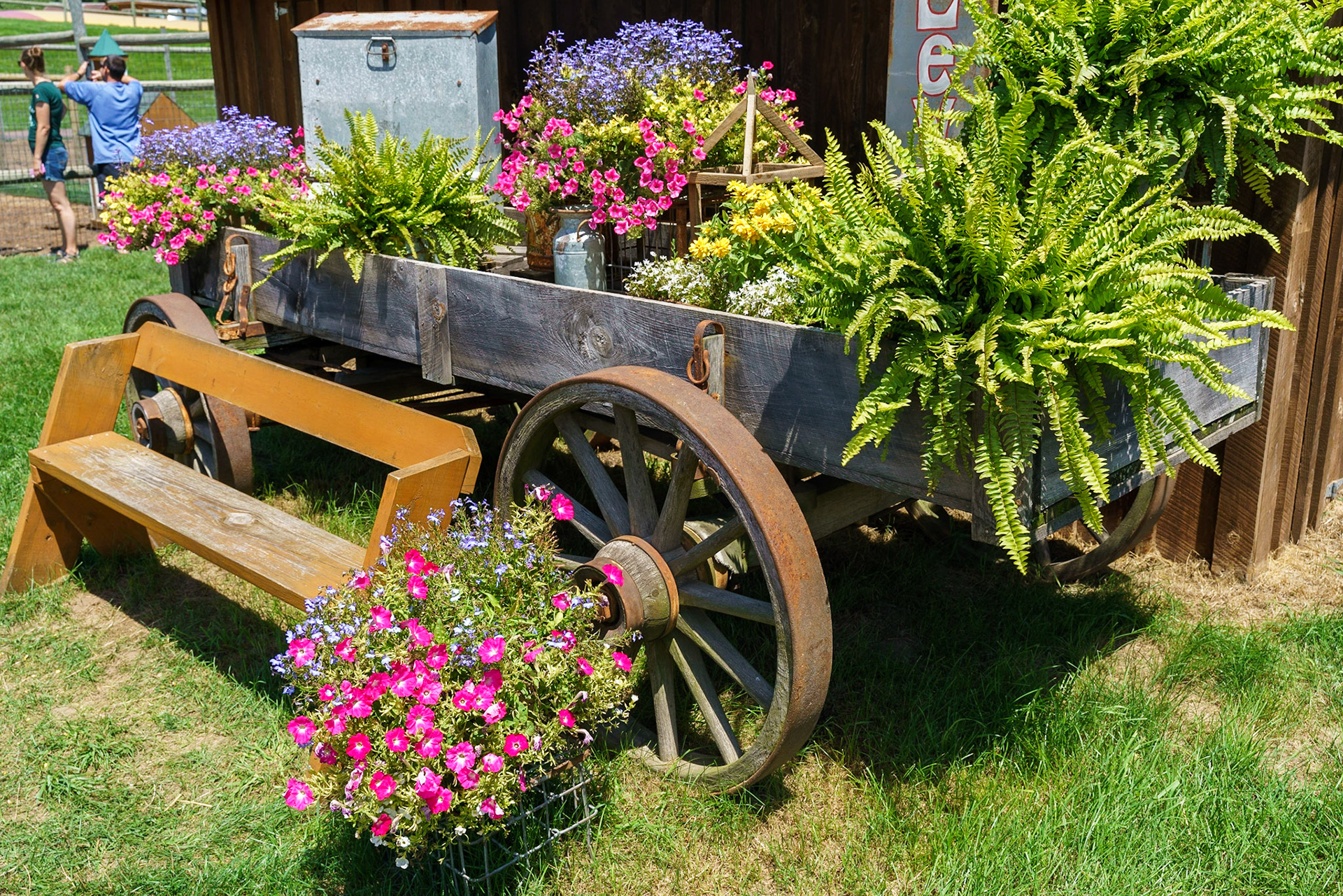 Photo by Jon Roost (www.jonroostphotos.com)