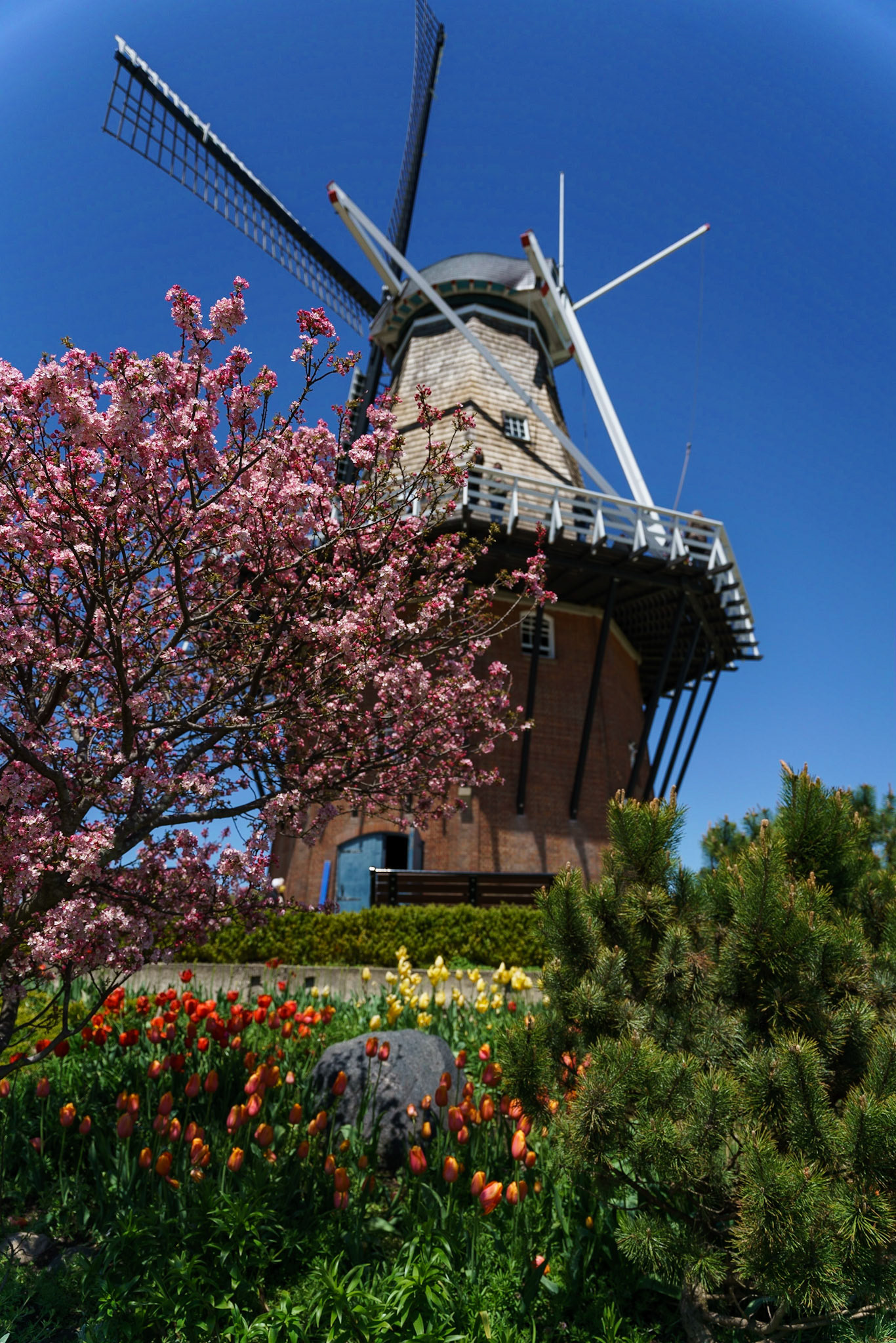 Photo by Jon Roost (www.jonroostphotos.com)