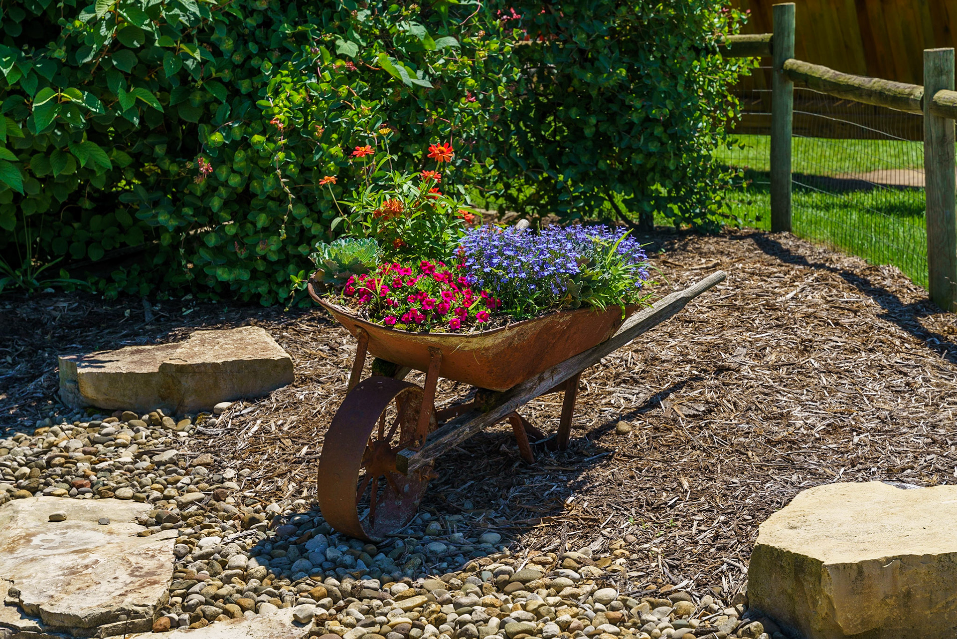 Photo by Jon Roost (www.jonroostphotos.com)