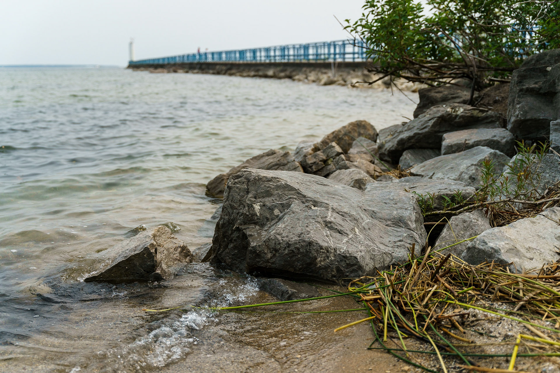 Photo by Jon Roost (www.jonroostphotos.com)