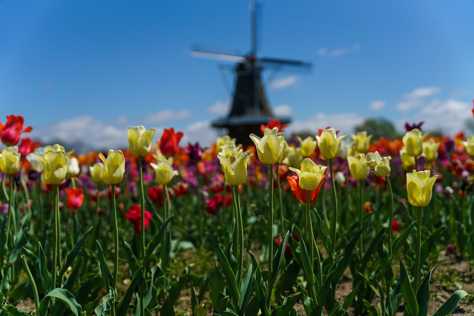 Photo by Jon Roost (www.jonroostphotos.com)