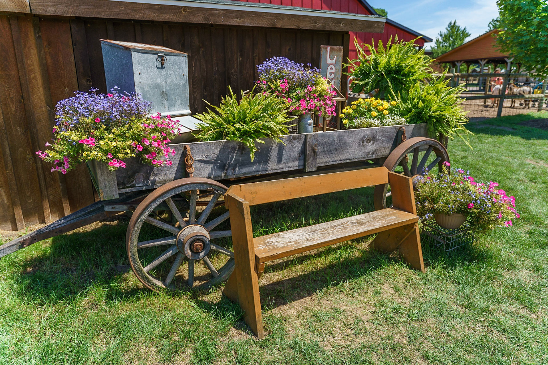 Photo by Jon Roost (www.jonroostphotos.com)