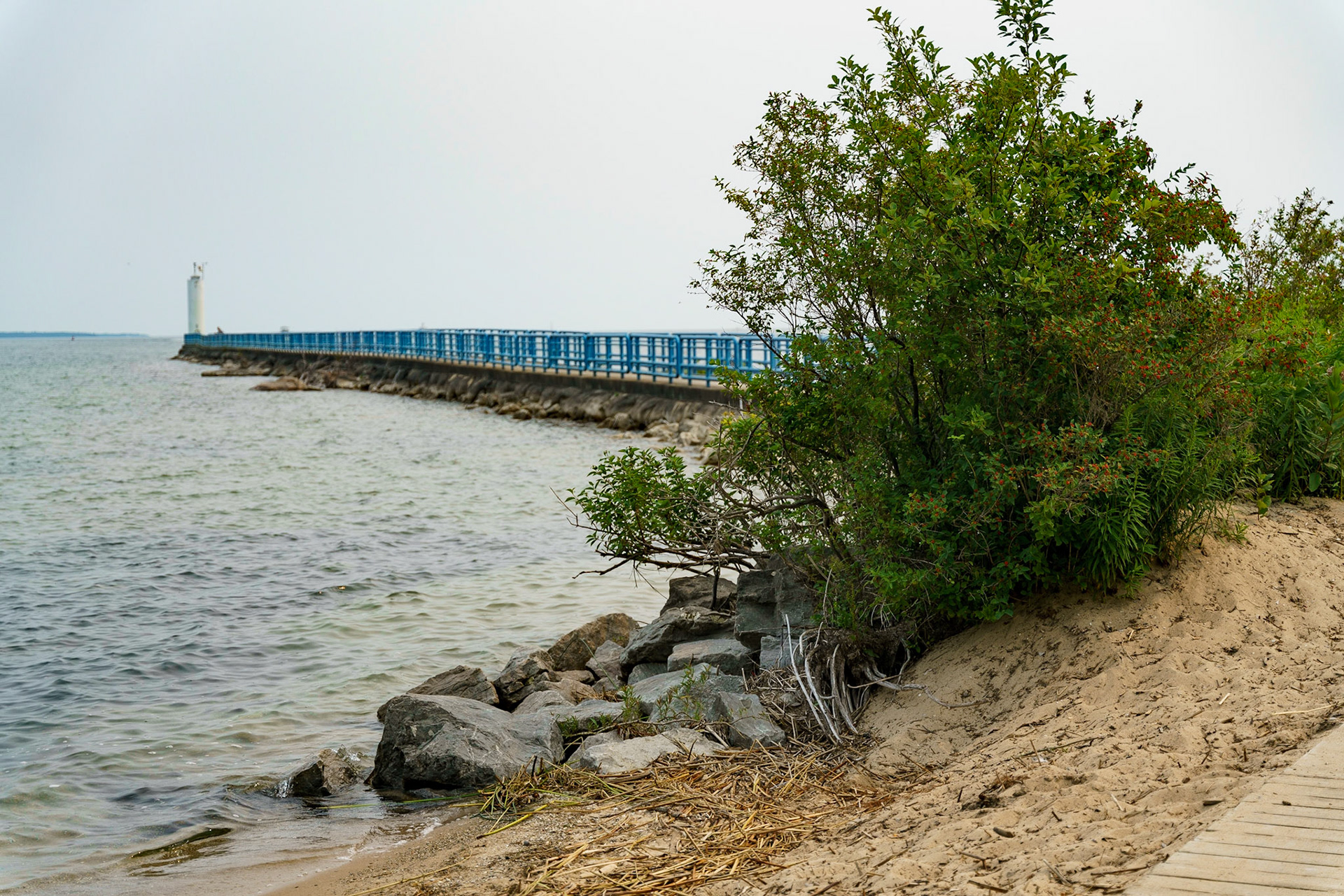 Photo by Jon Roost (www.jonroostphotos.com)