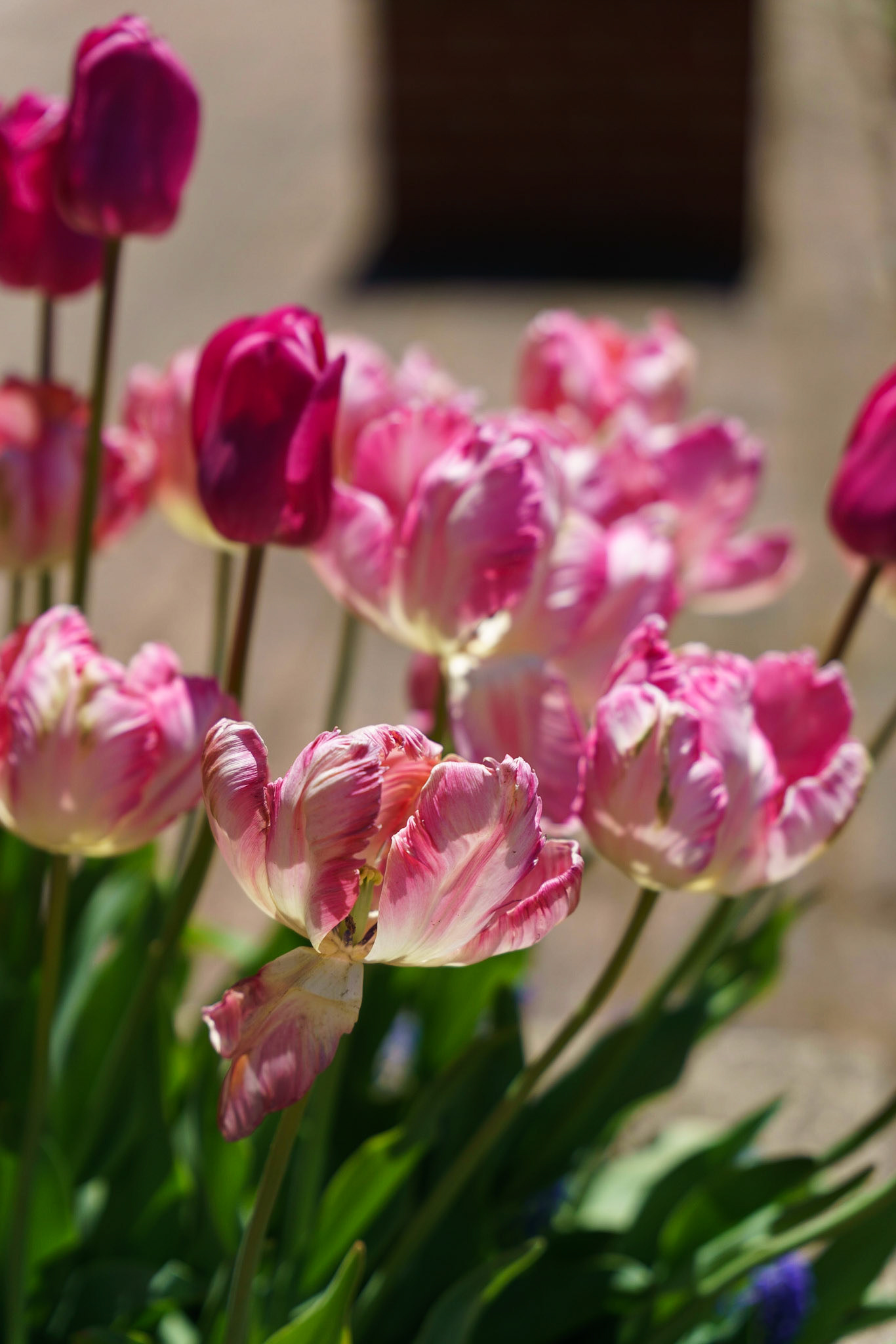 Photo by Jon Roost (www.jonroostphotos.com)