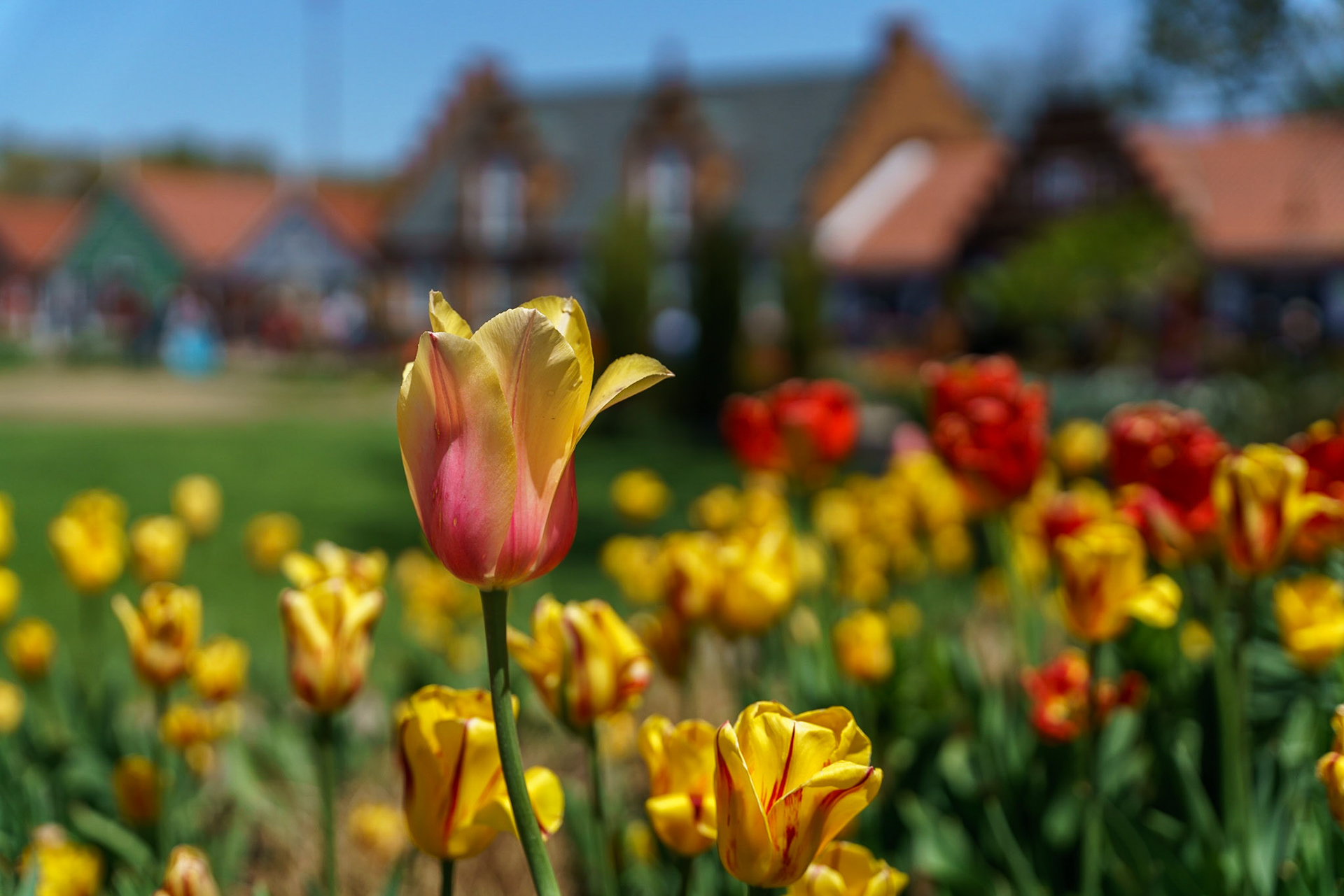 Photo by Jon Roost (www.jonroostphotos.com)