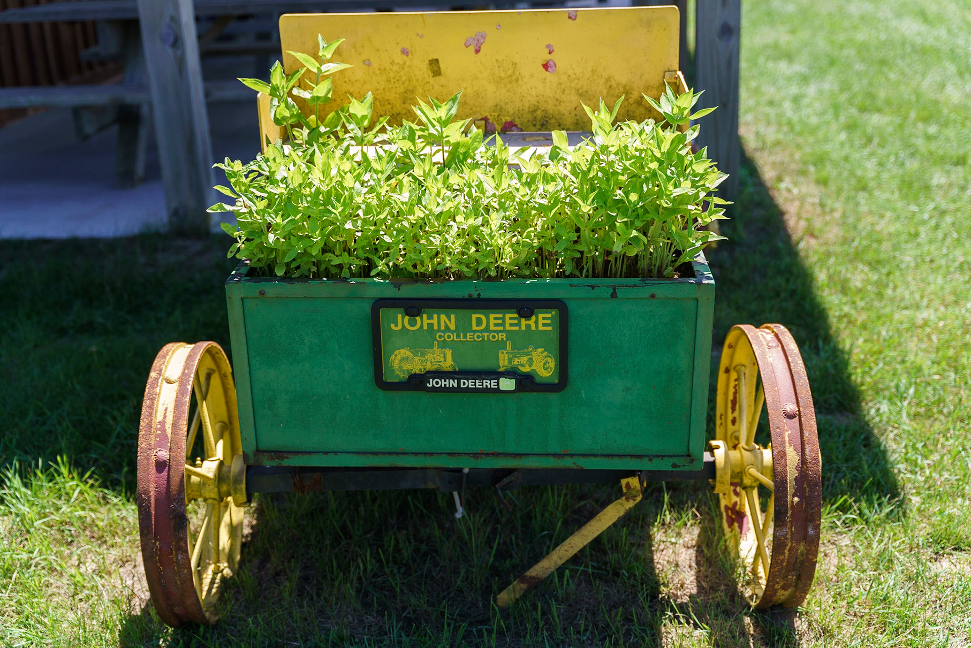 Photo by Jon Roost (www.jonroostphotos.com)