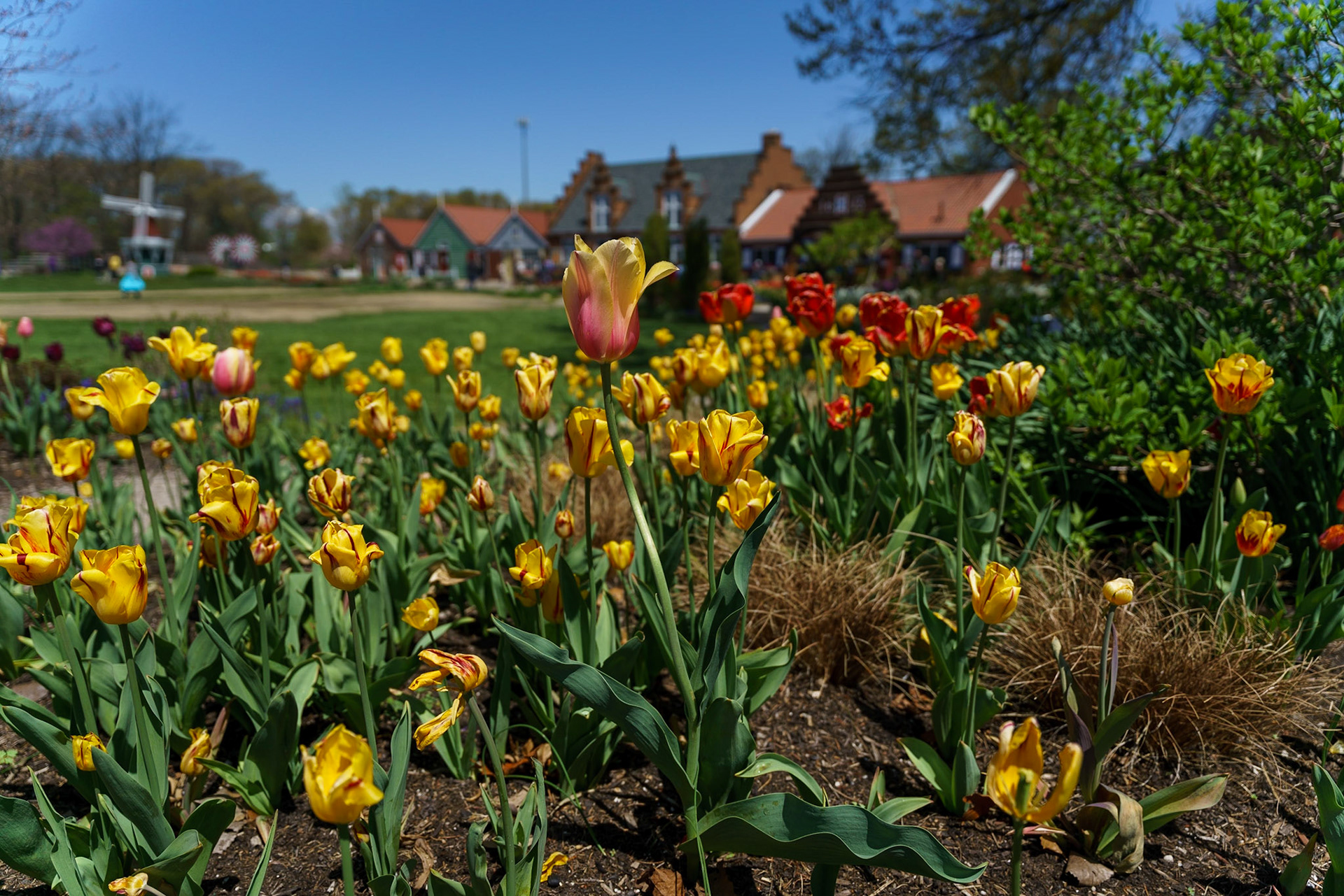 Photo by Jon Roost (www.jonroostphotos.com)