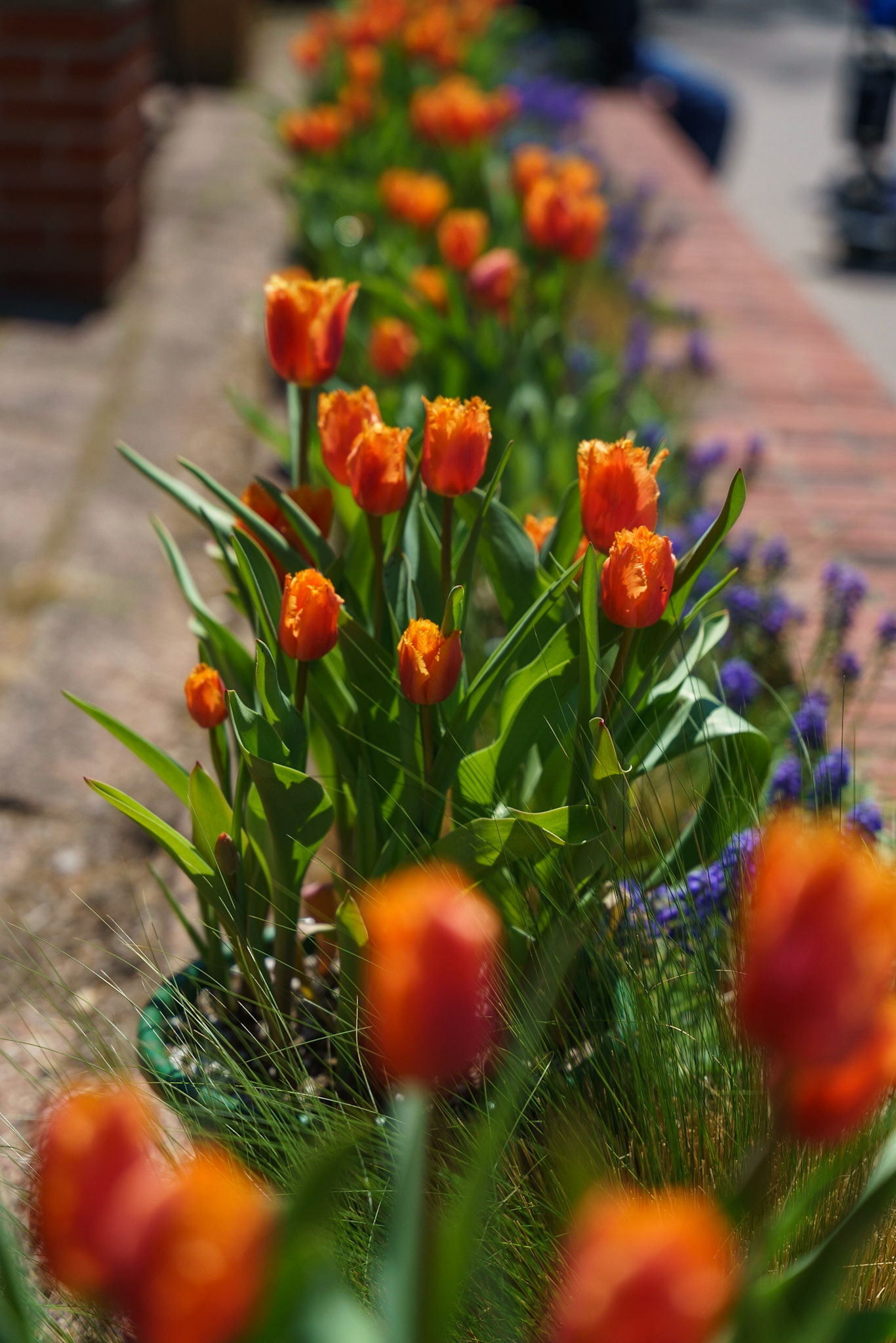 Photo by Jon Roost (www.jonroostphotos.com)