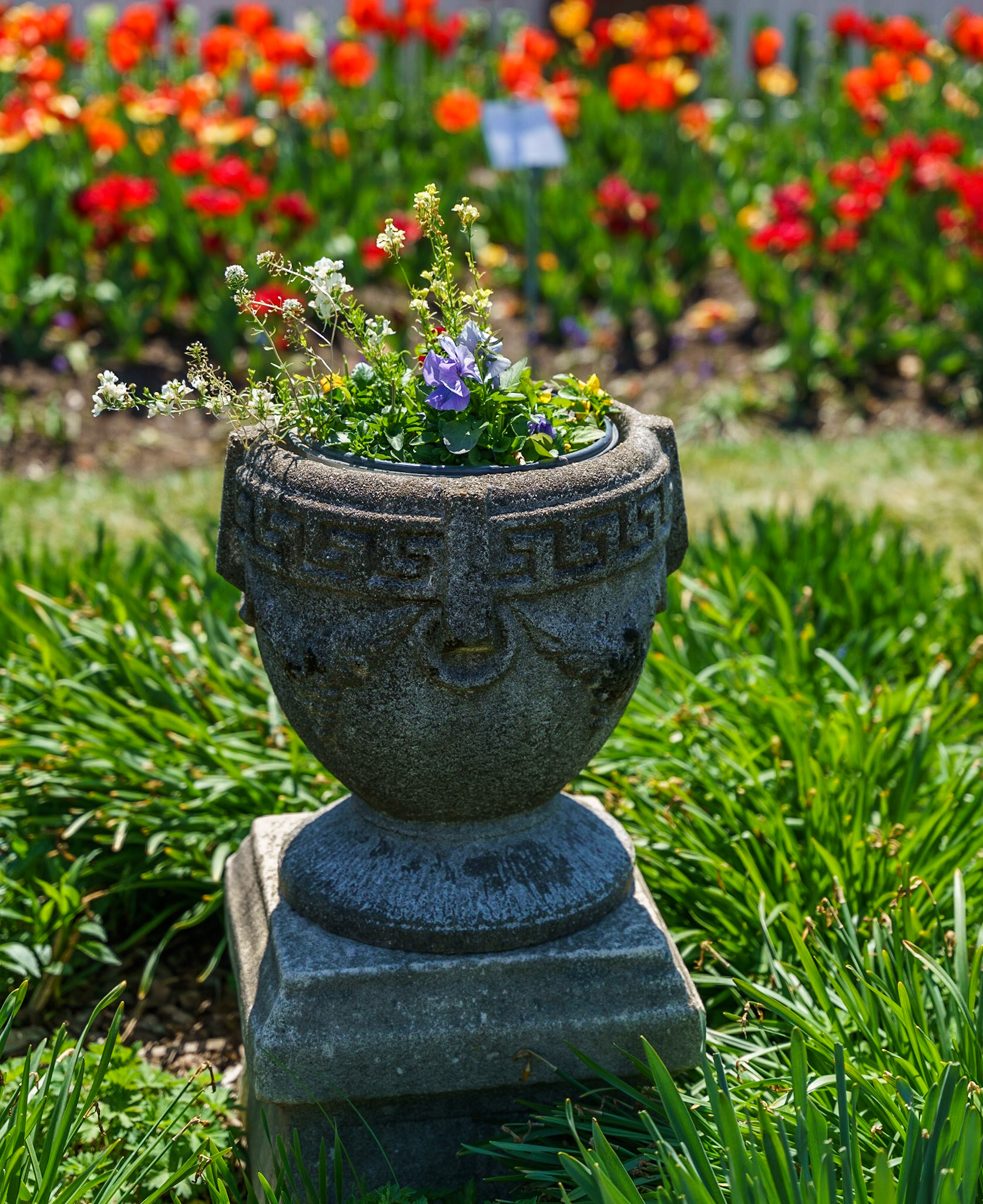 Photo by Jon Roost (www.jonroostphotos.com)