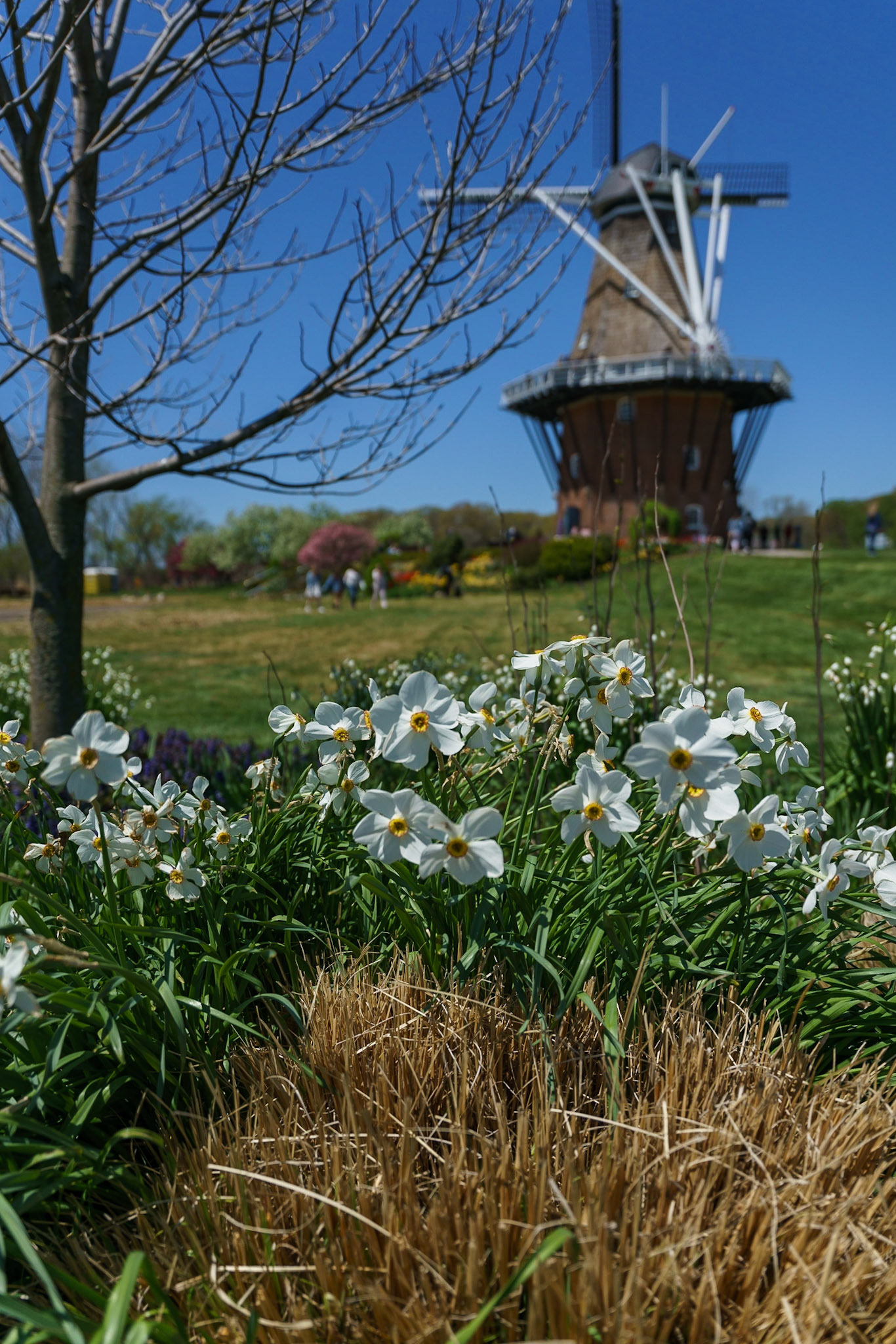 Photo by Jon Roost (www.jonroostphotos.com)