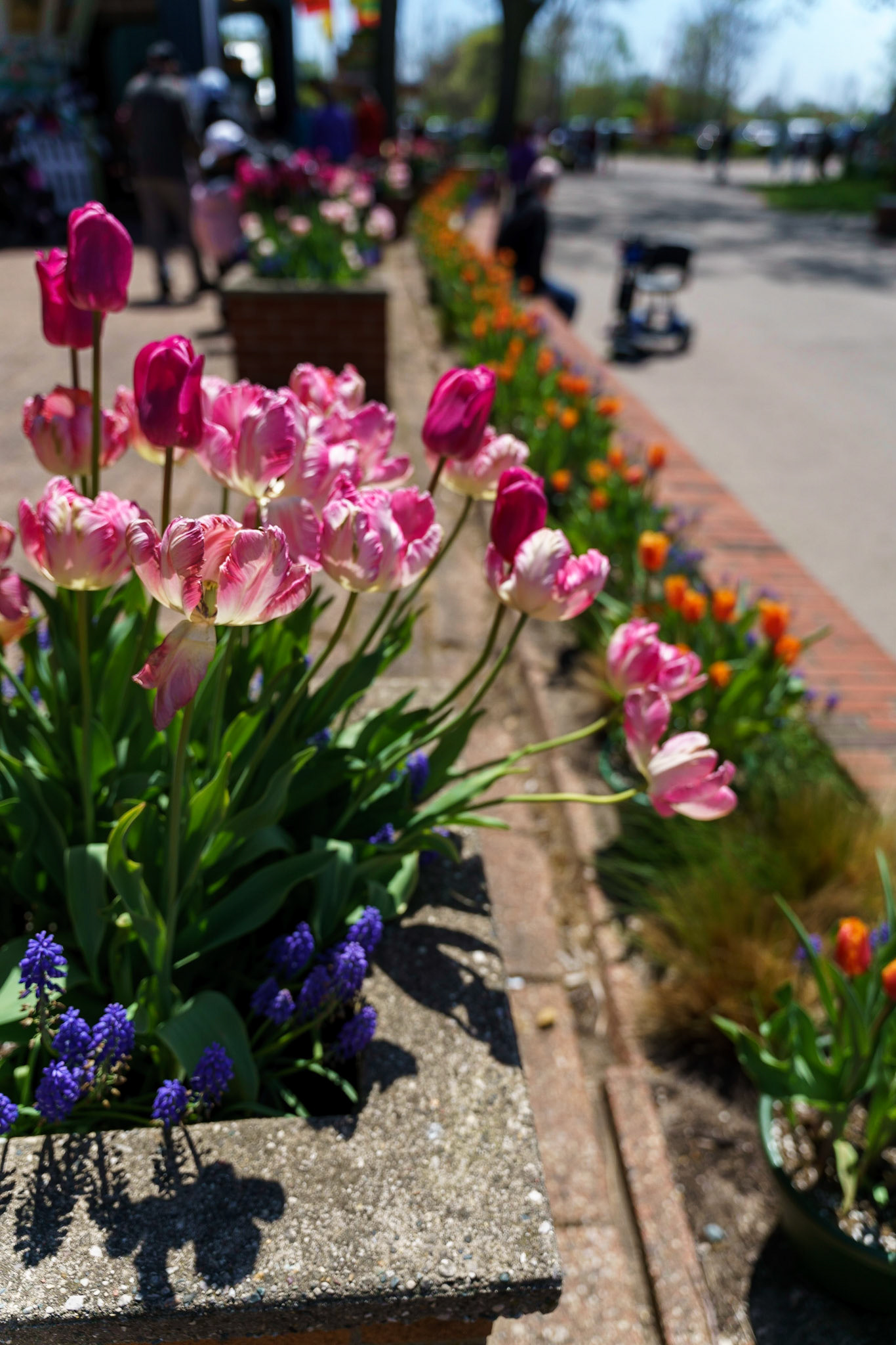 Photo by Jon Roost (www.jonroostphotos.com)