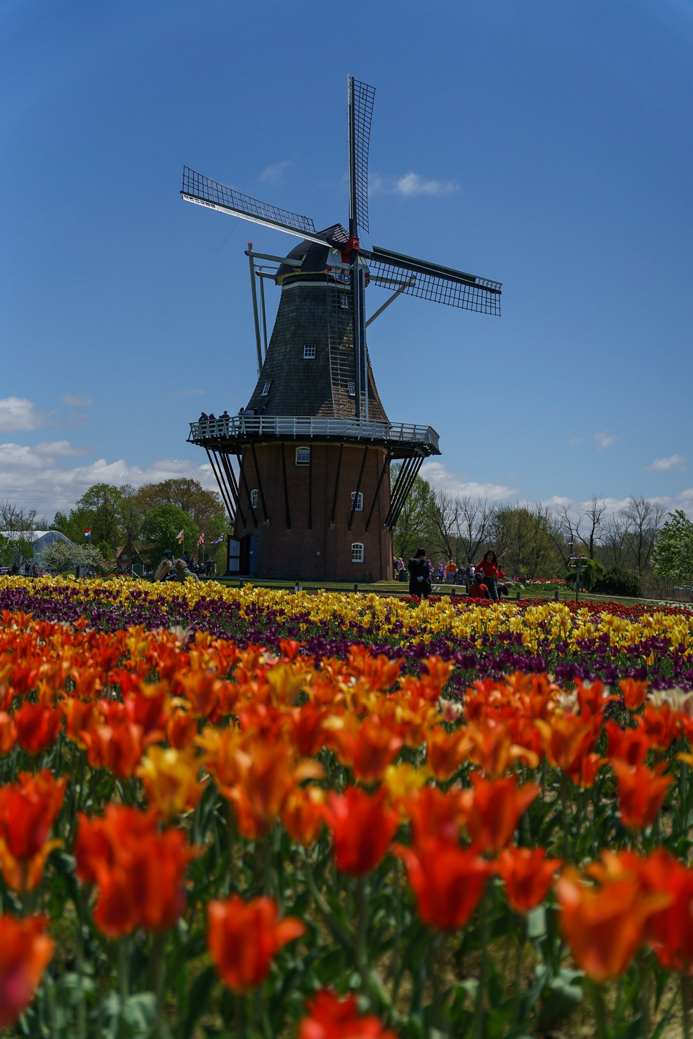 Photo by Jon Roost (www.jonroostphotos.com)