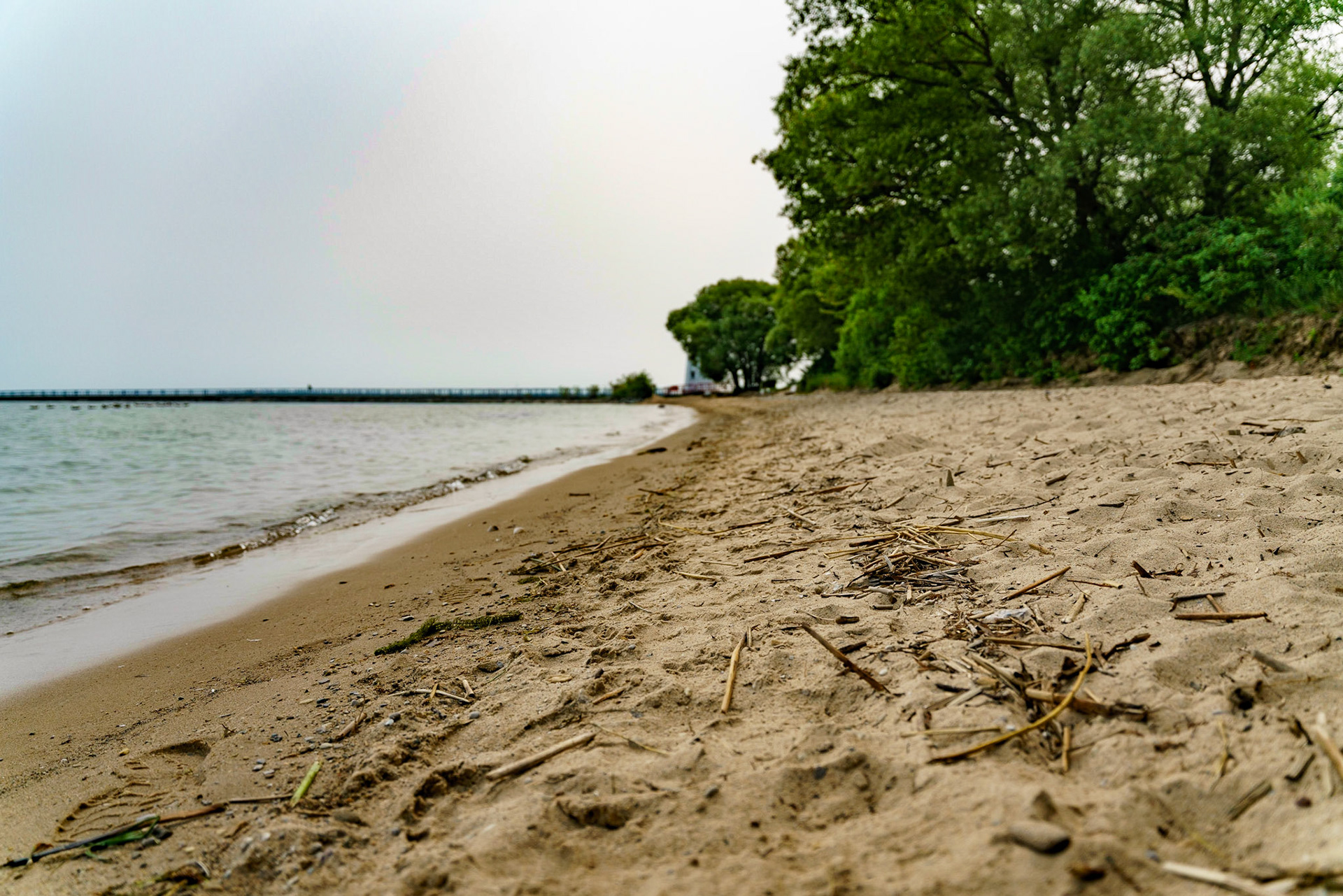 Photo by Jon Roost (www.jonroostphotos.com)