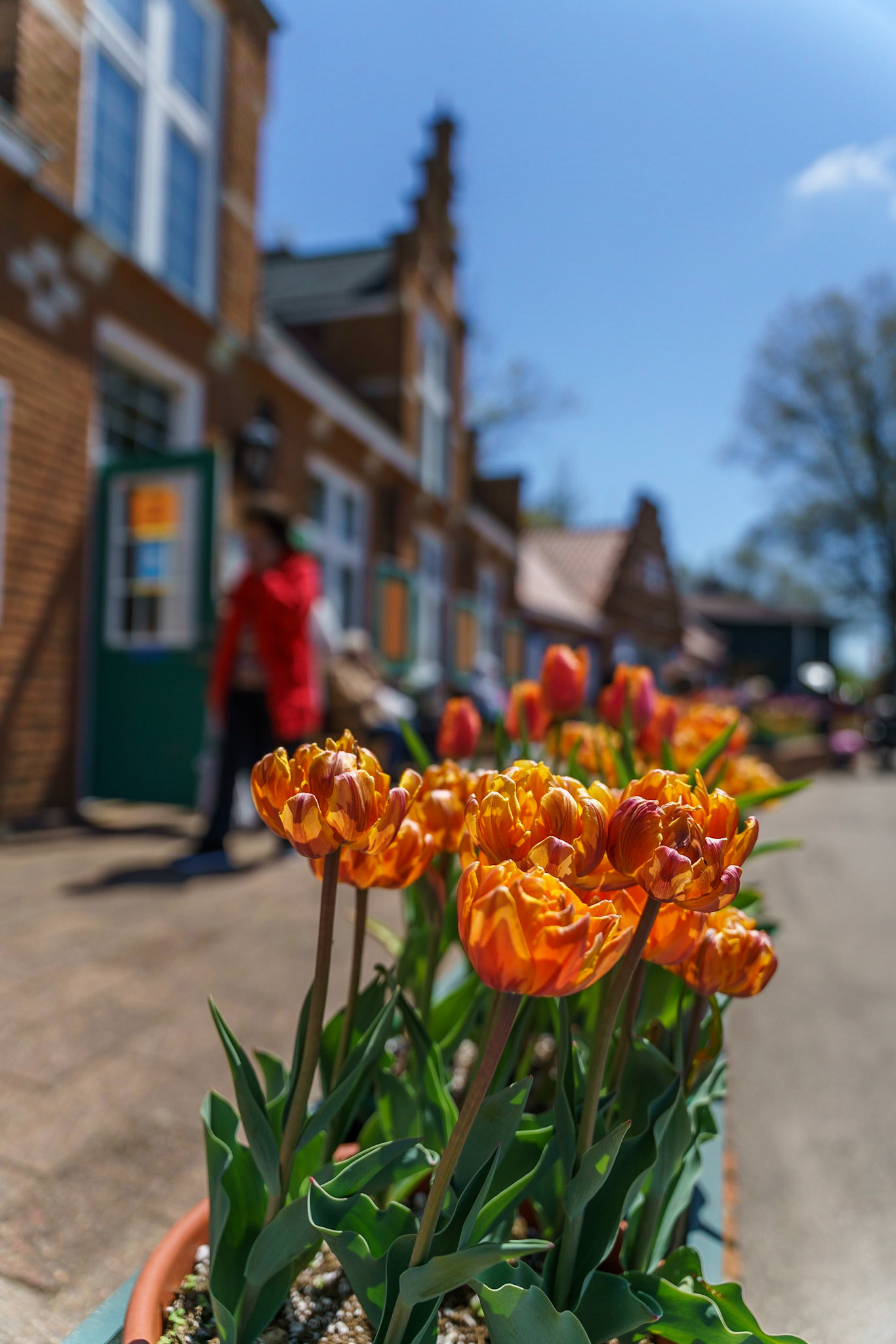 Photo by Jon Roost (www.jonroostphotos.com)
