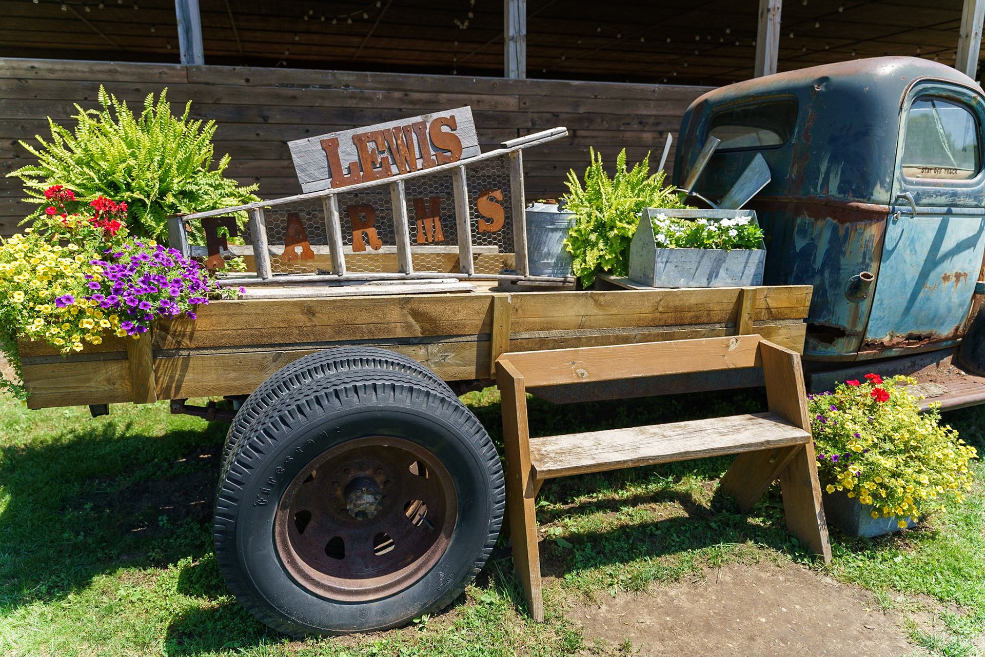 Photo by Jon Roost (www.jonroostphotos.com)