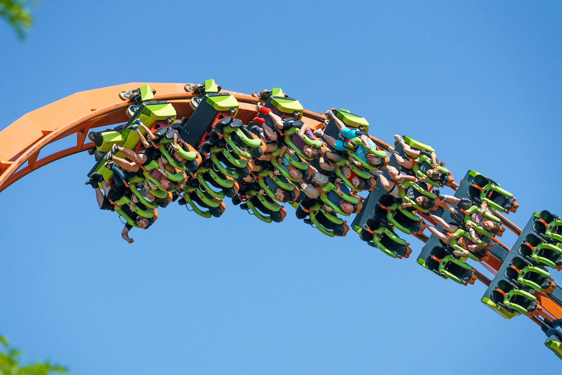 Photo by Jon Roost (www.jonroostphotos.com)