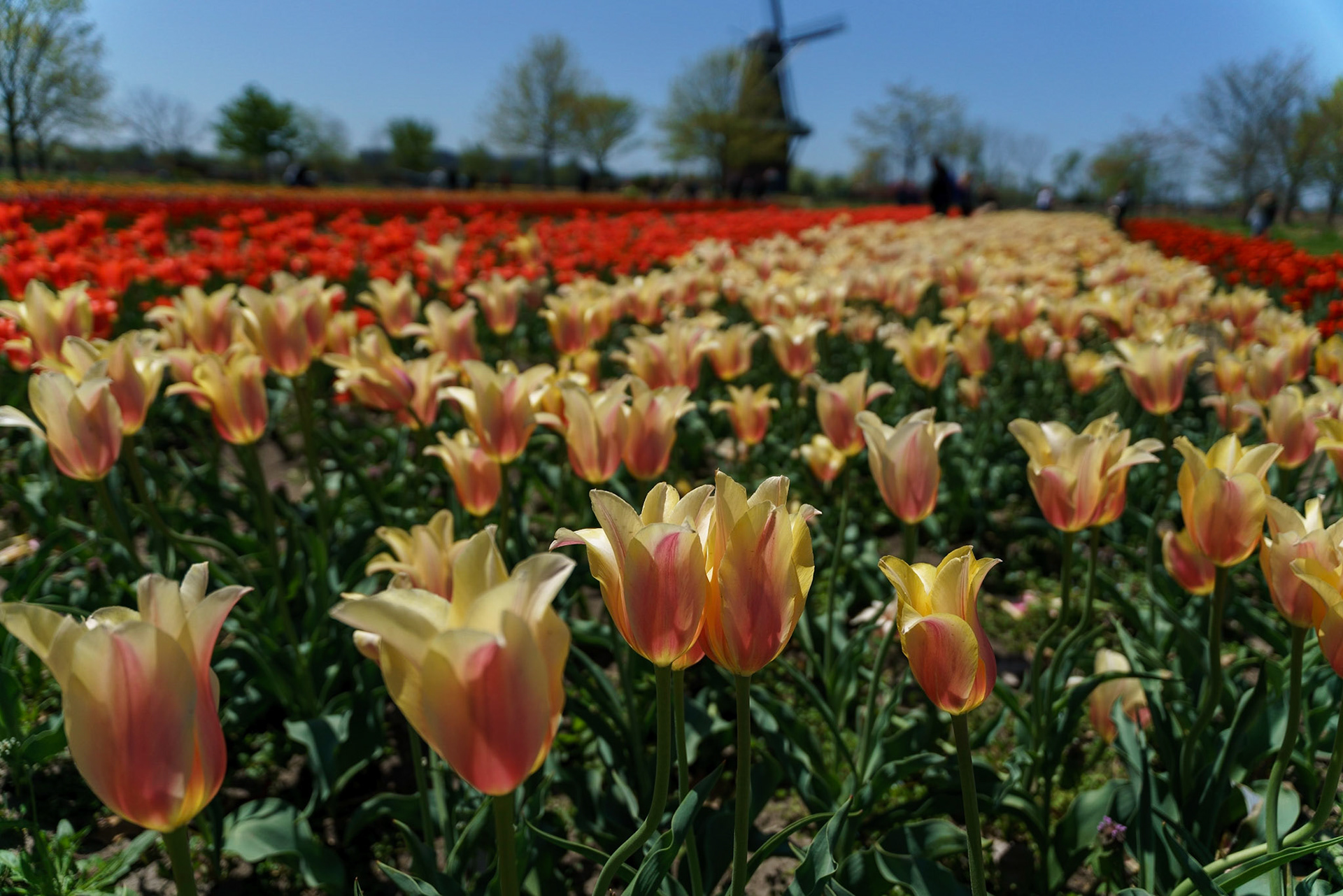 Photo by Jon Roost (www.jonroostphotos.com)