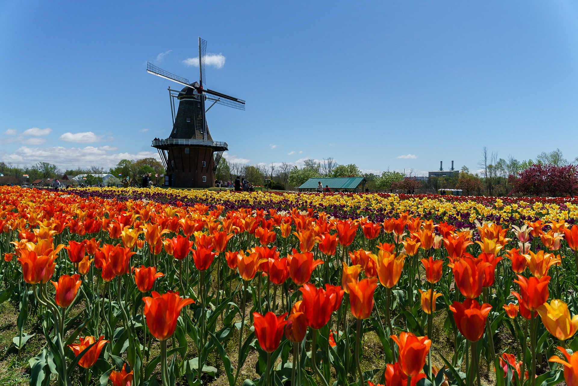 Photo by Jon Roost (www.jonroostphotos.com)