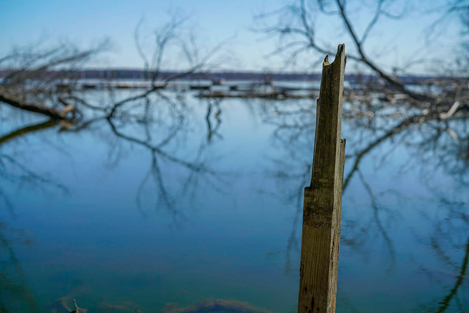 Photo by Jon Roost (www.jonroostphotos.com)