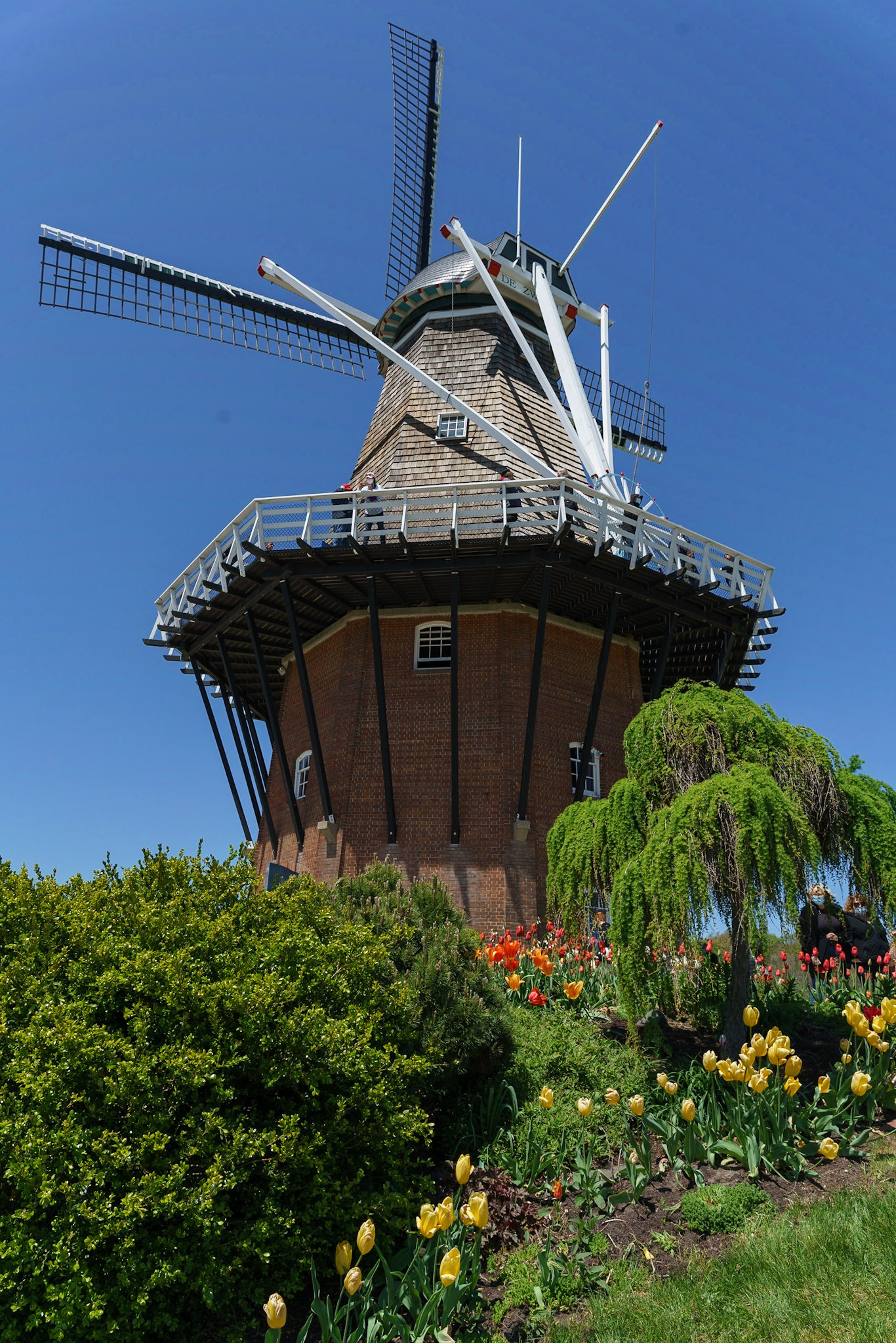 Photo by Jon Roost (www.jonroostphotos.com)