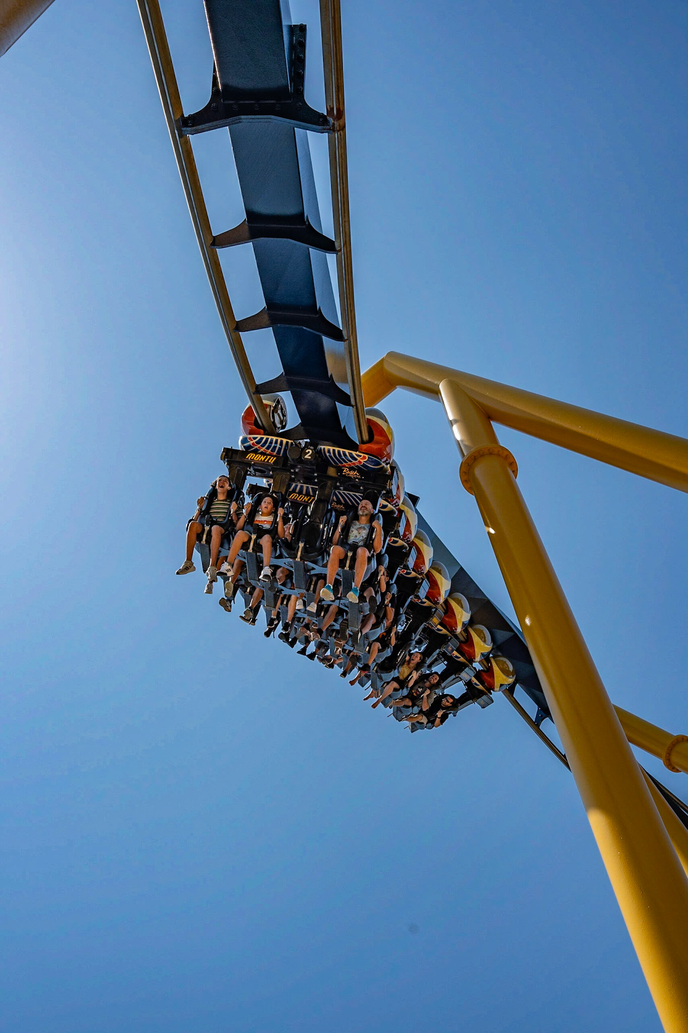 Photo by Jon Roost (www.jonroostphotos.com)