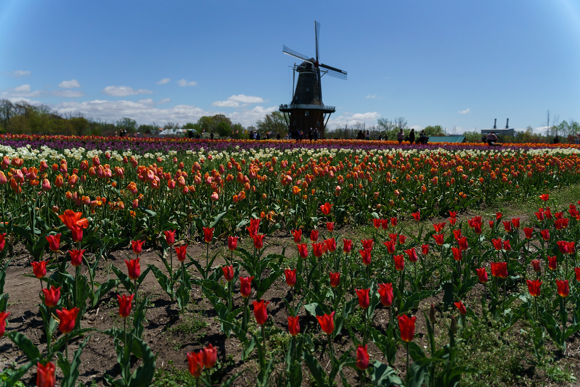 Photo by Jon Roost (www.jonroostphotos.com)