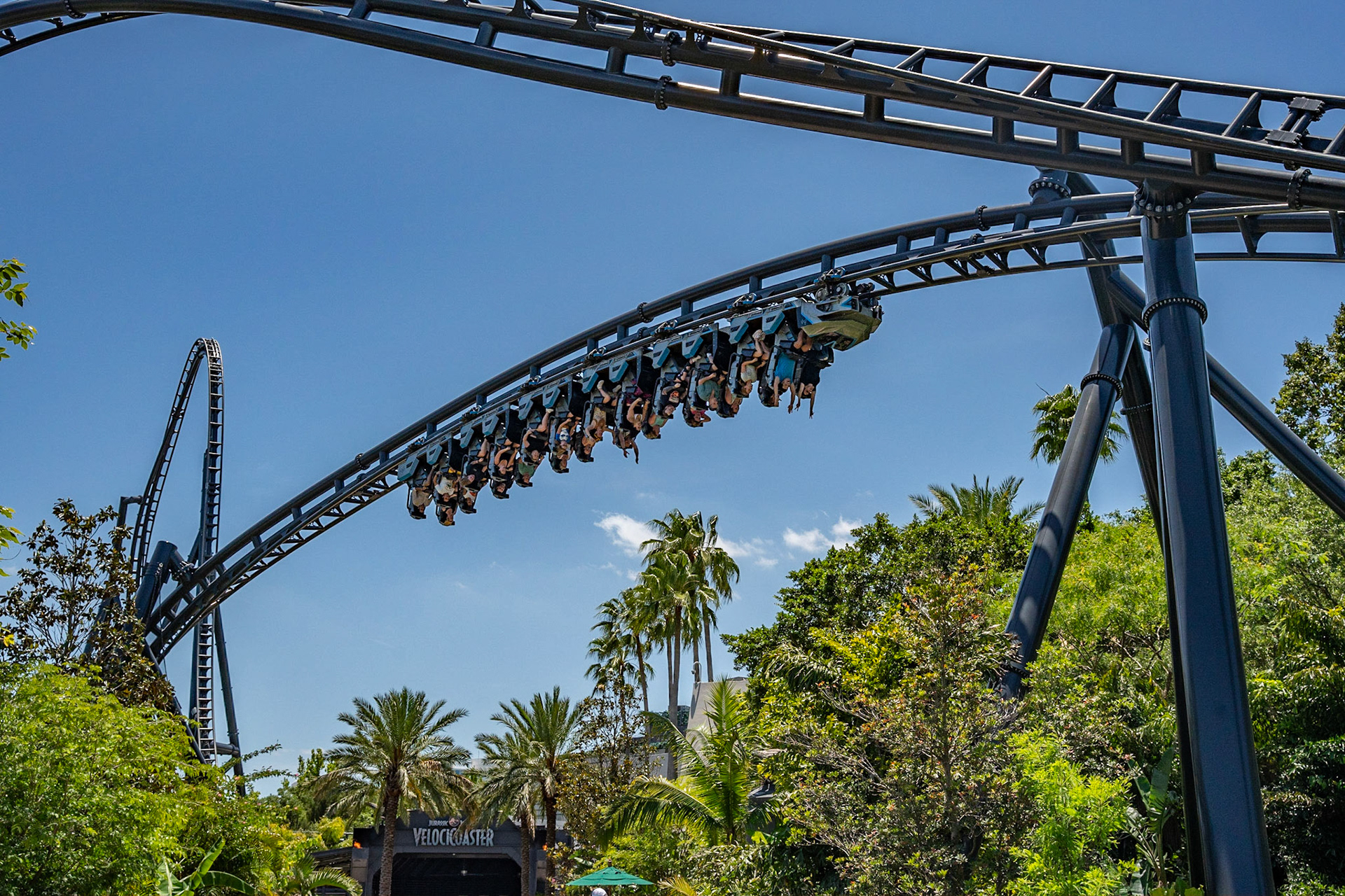 Photo by Jon Roost (www.jonroostphotos.com)