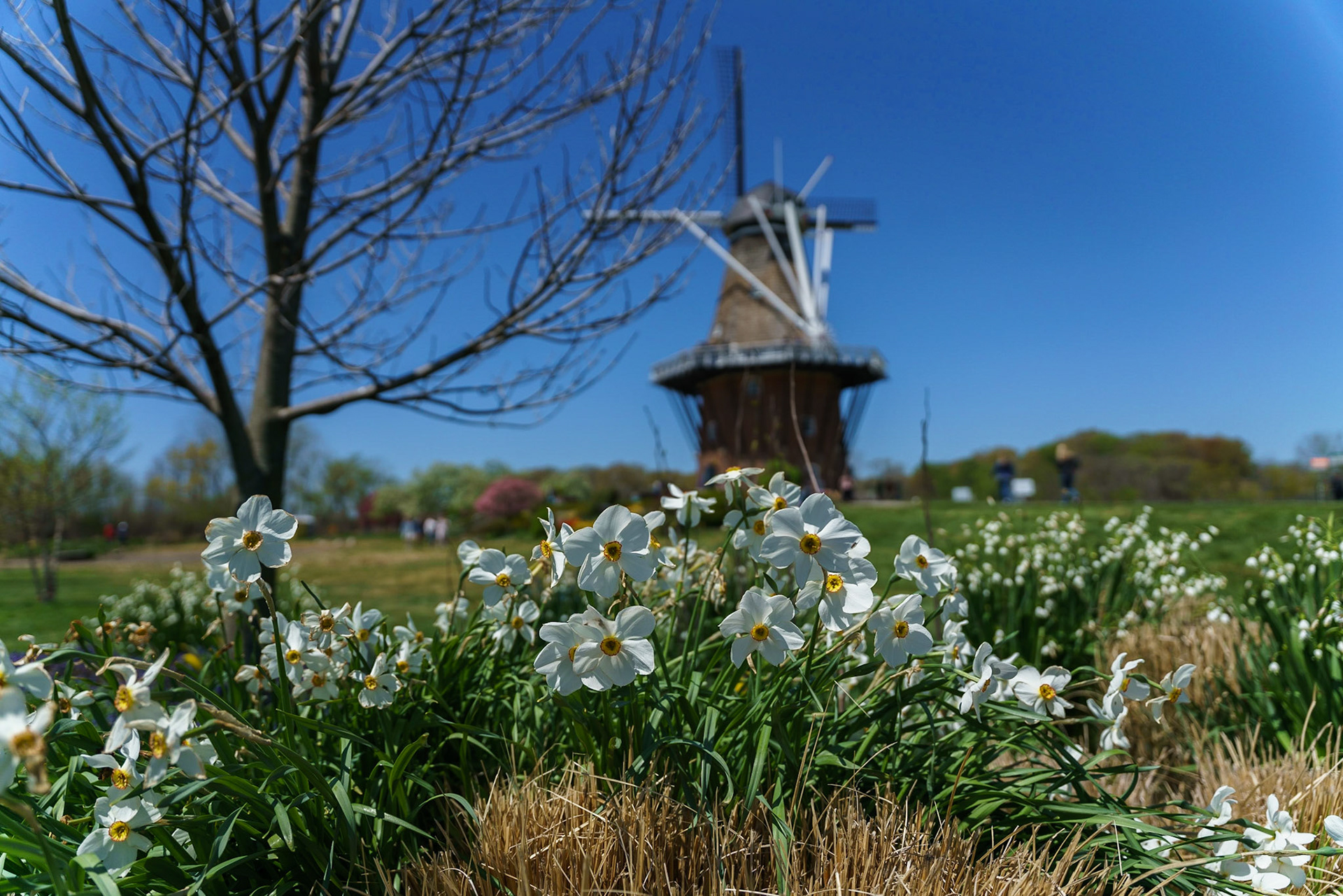 Photo by Jon Roost (www.jonroostphotos.com)
