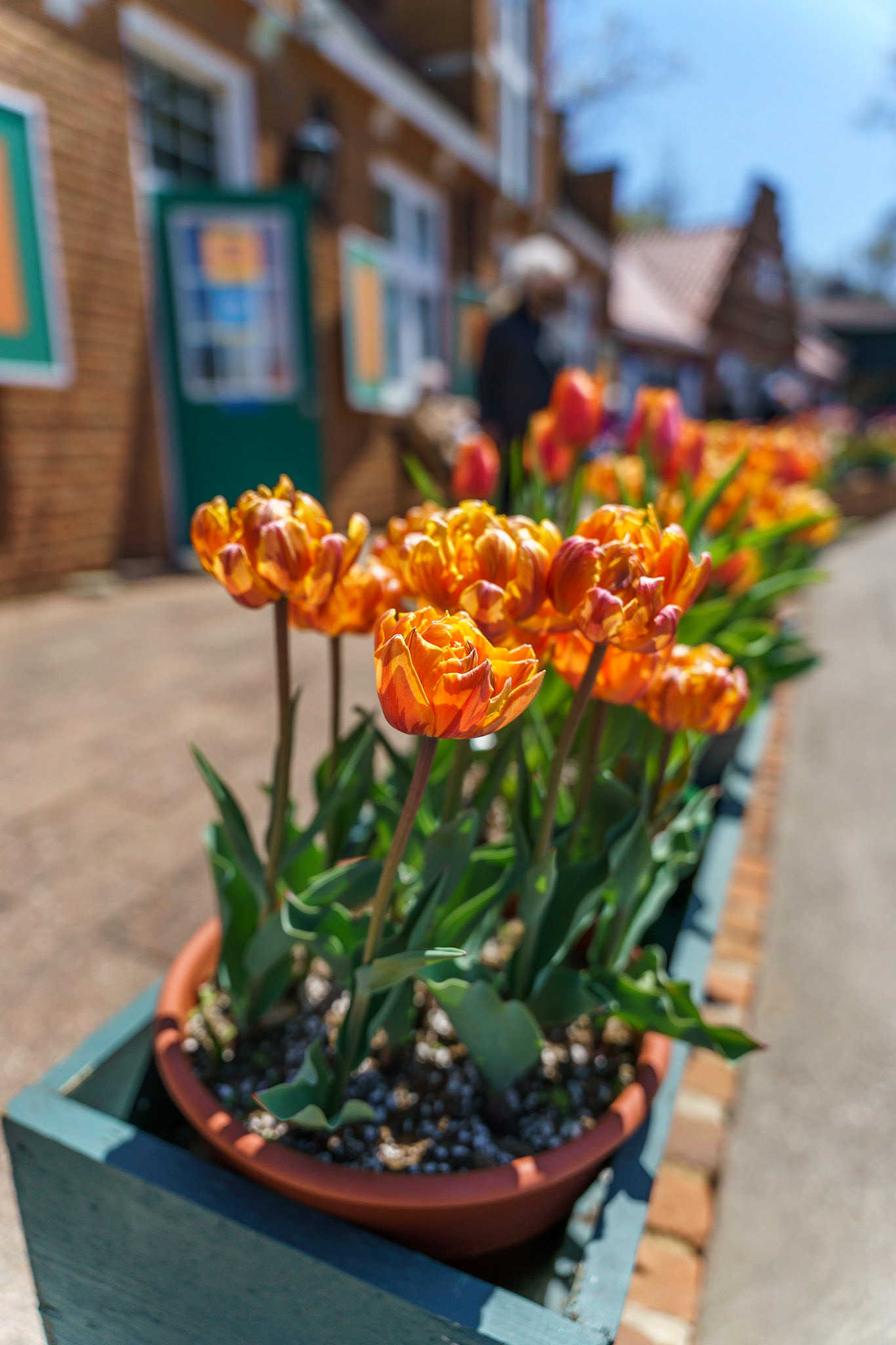 Photo by Jon Roost (www.jonroostphotos.com)