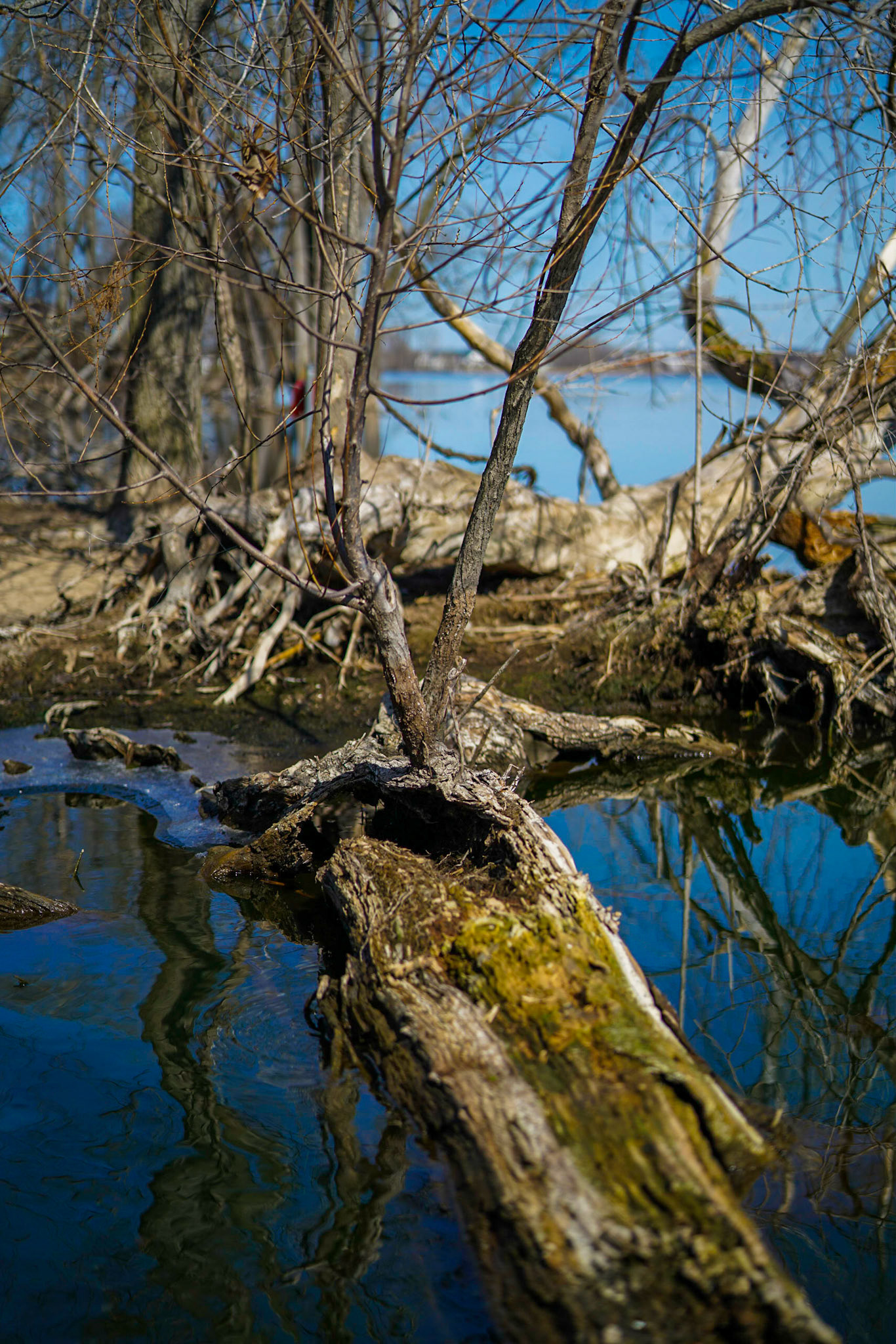 Photo by Jon Roost (www.jonroostphotos.com)