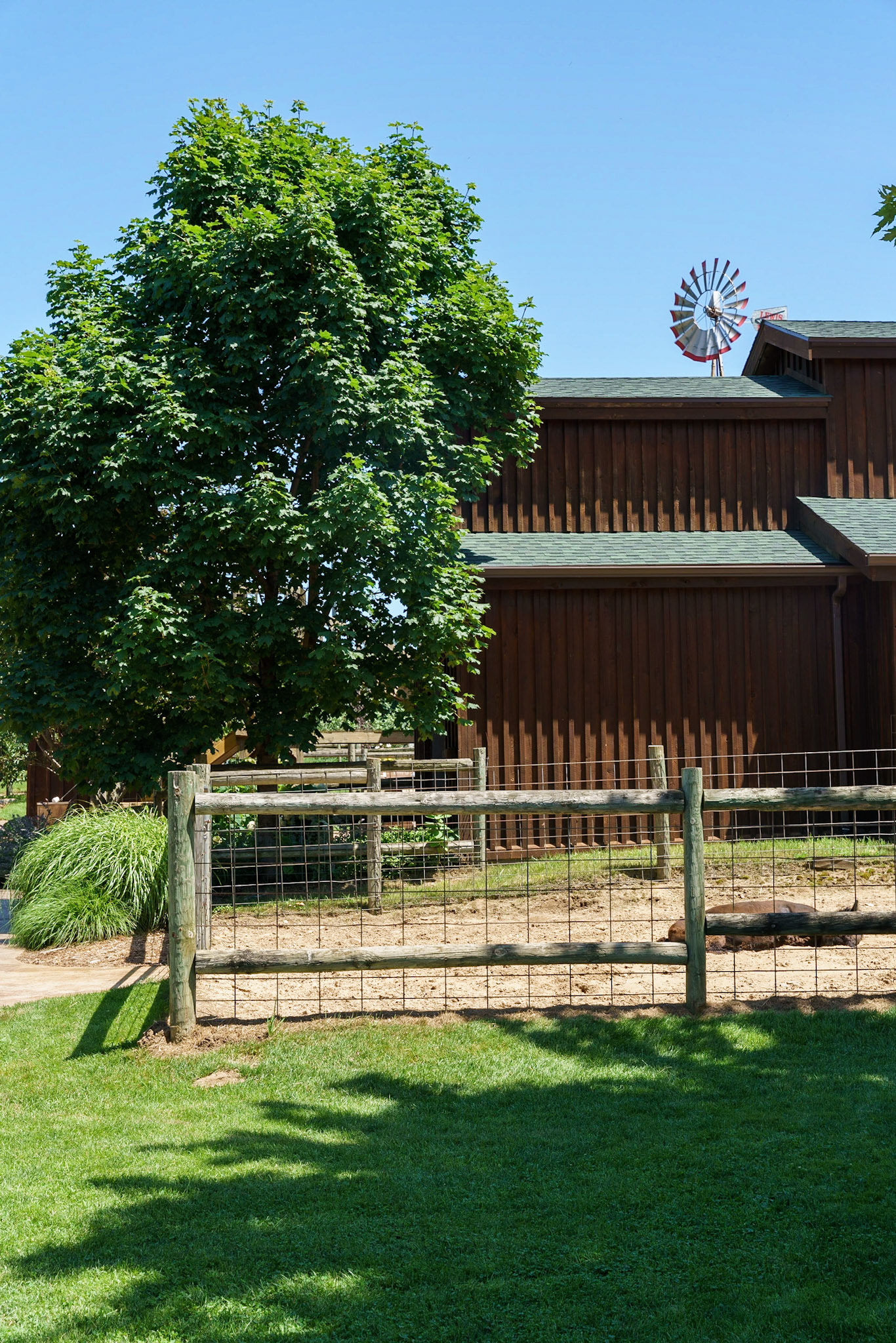 Photo by Jon Roost (www.jonroostphotos.com)