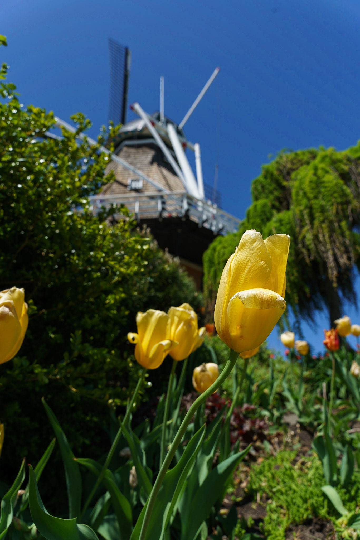 Photo by Jon Roost (www.jonroostphotos.com)