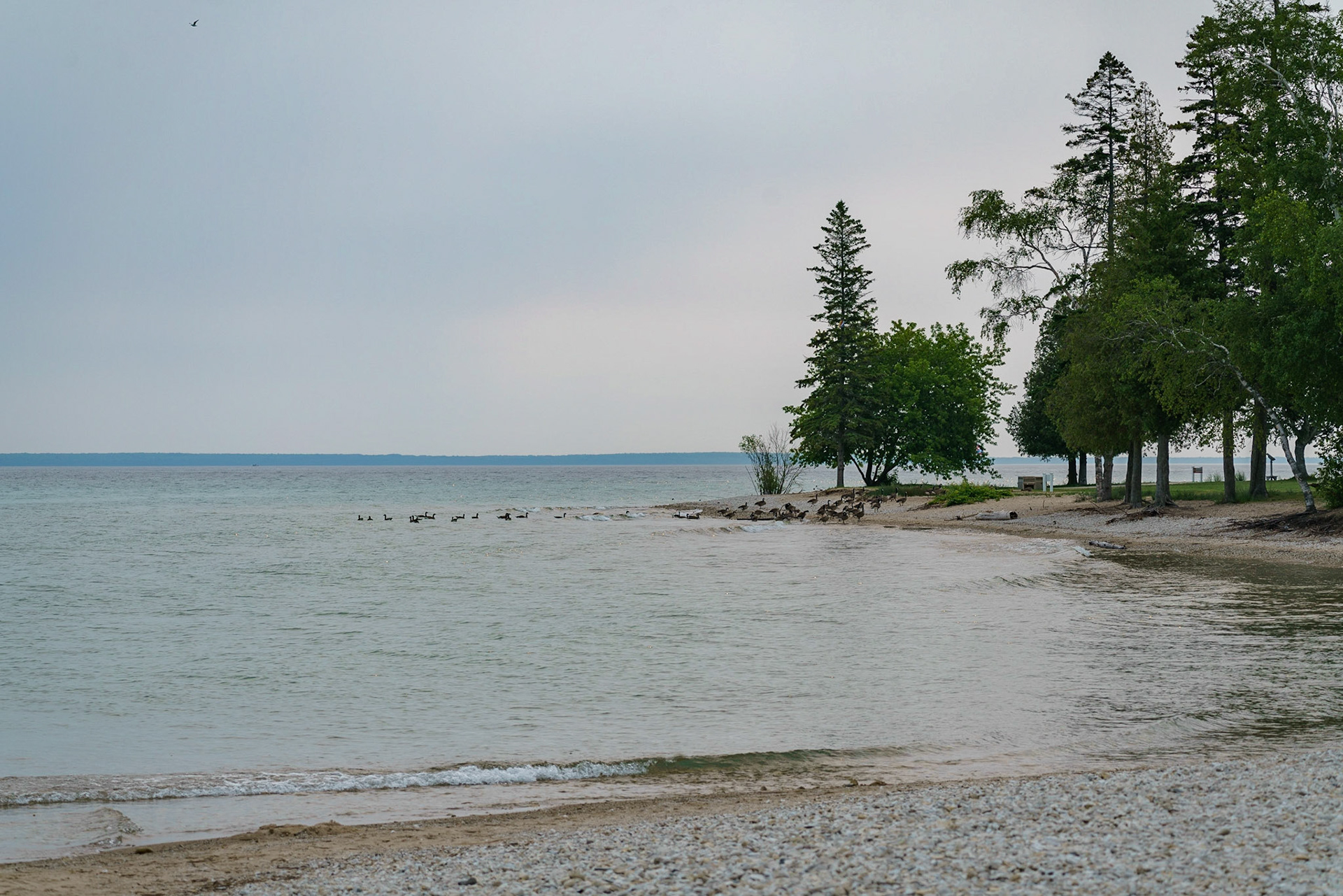 Photo by Jon Roost (www.jonroostphotos.com)