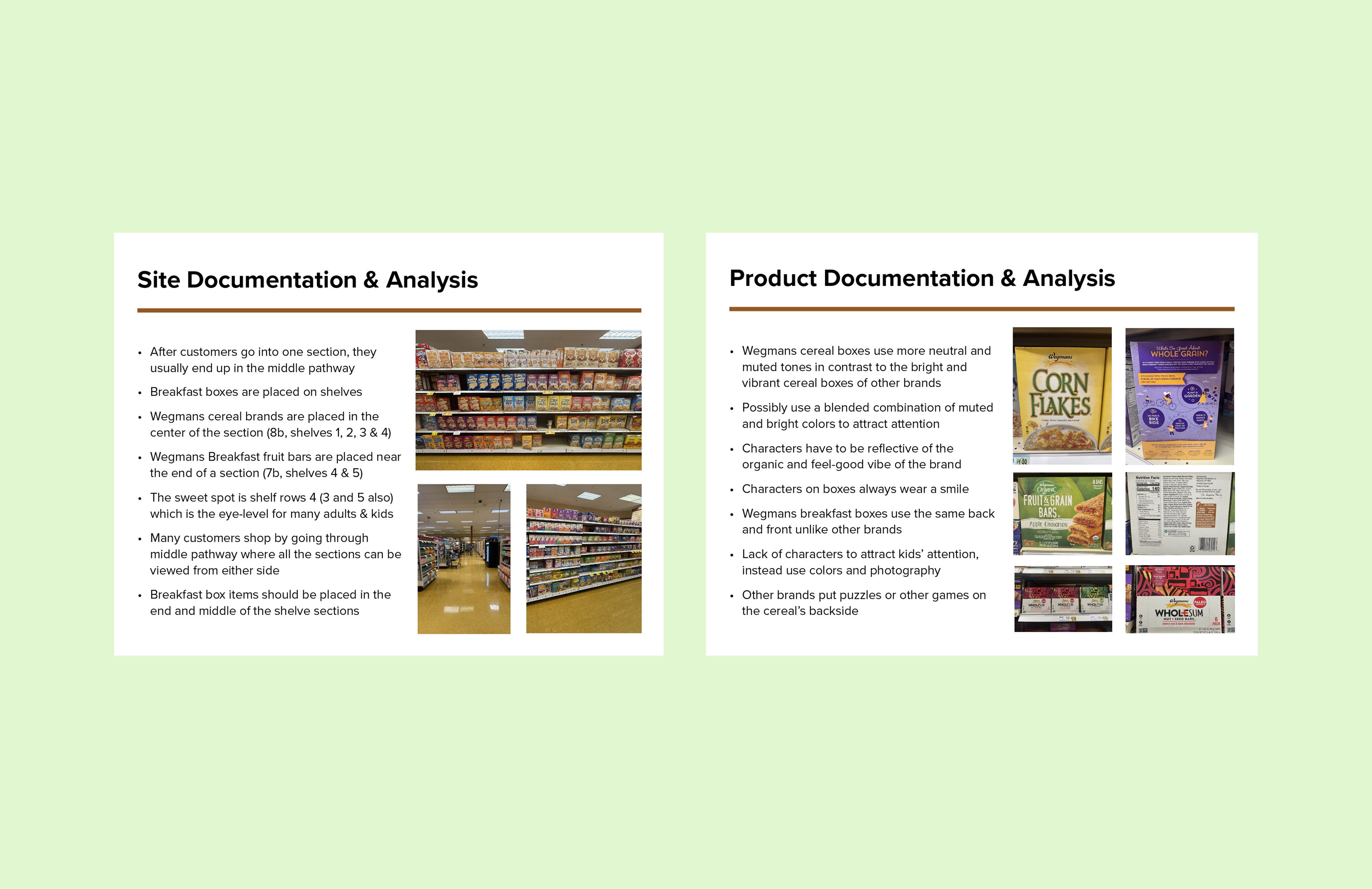Site Analysis & Documentation