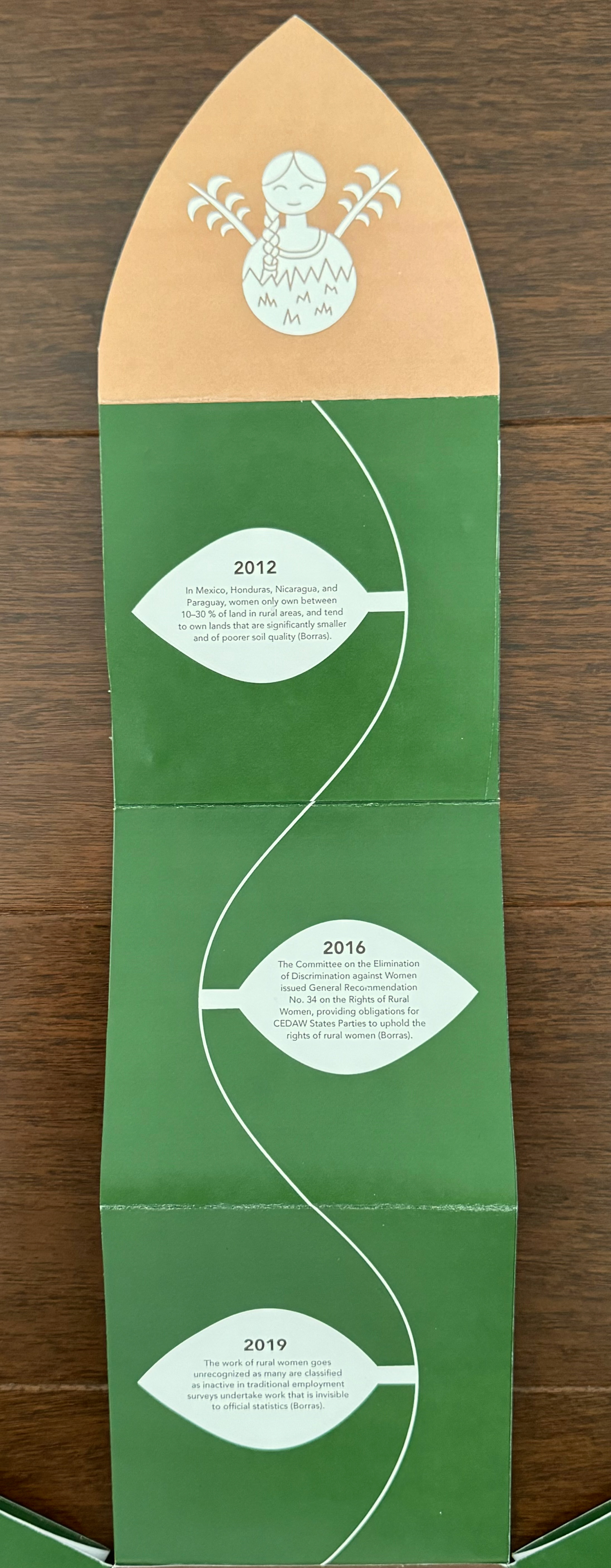 Opened Flower Accordion (Back)
