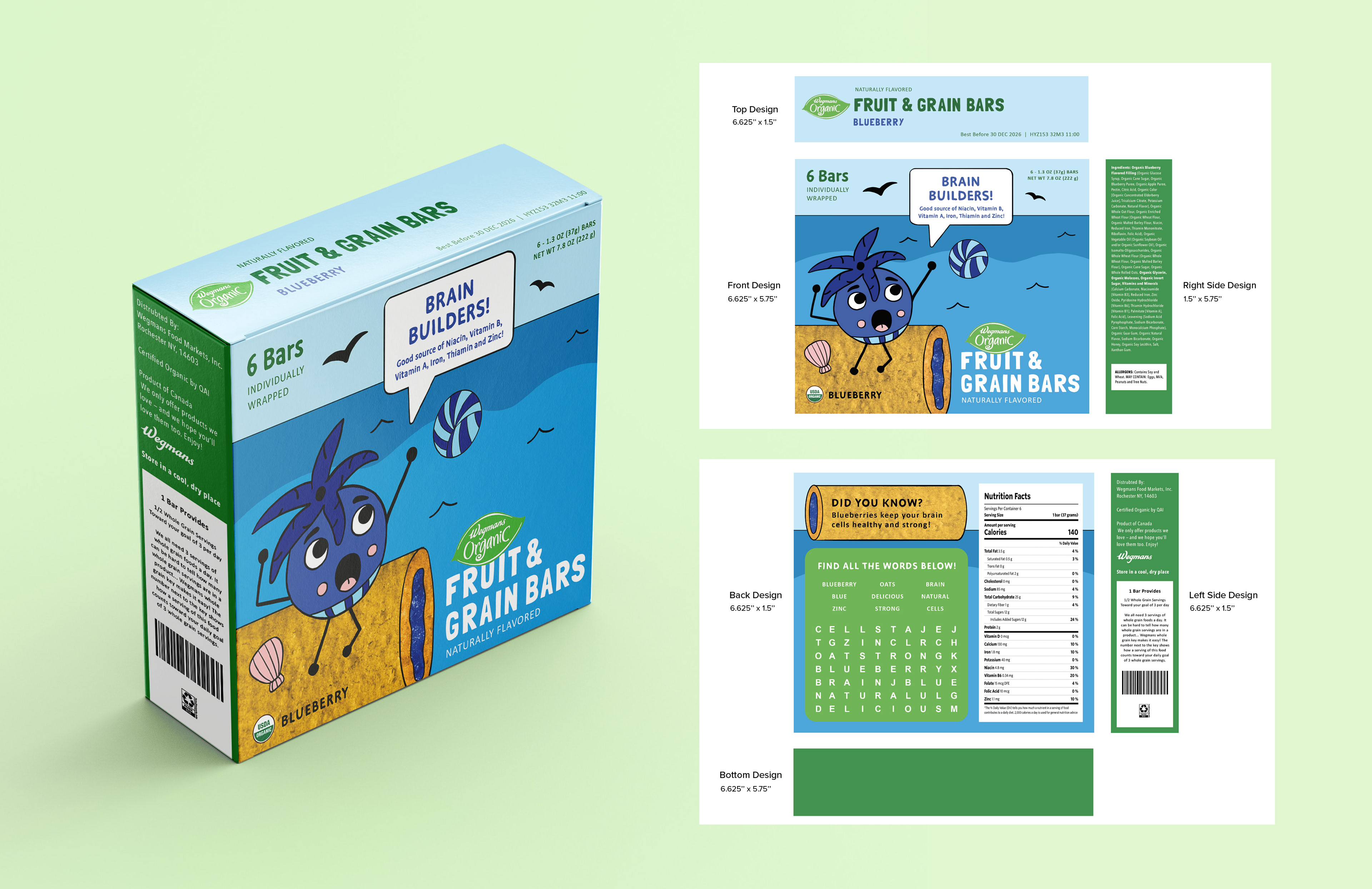 Final Blueberry Box Design