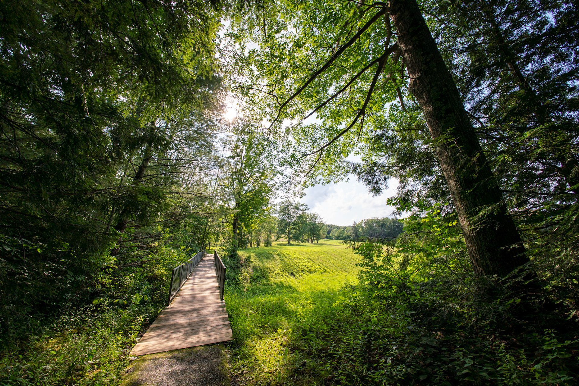 Clark Art Institute | Williamstown, MA