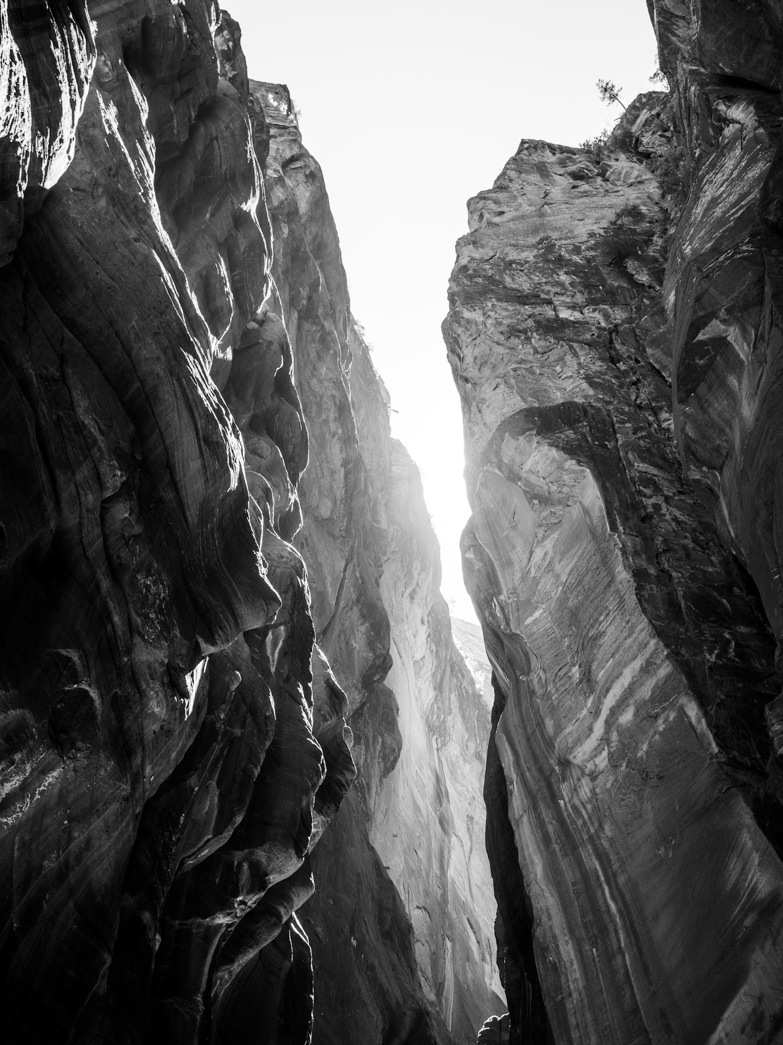 The Narrows, Zion National Park