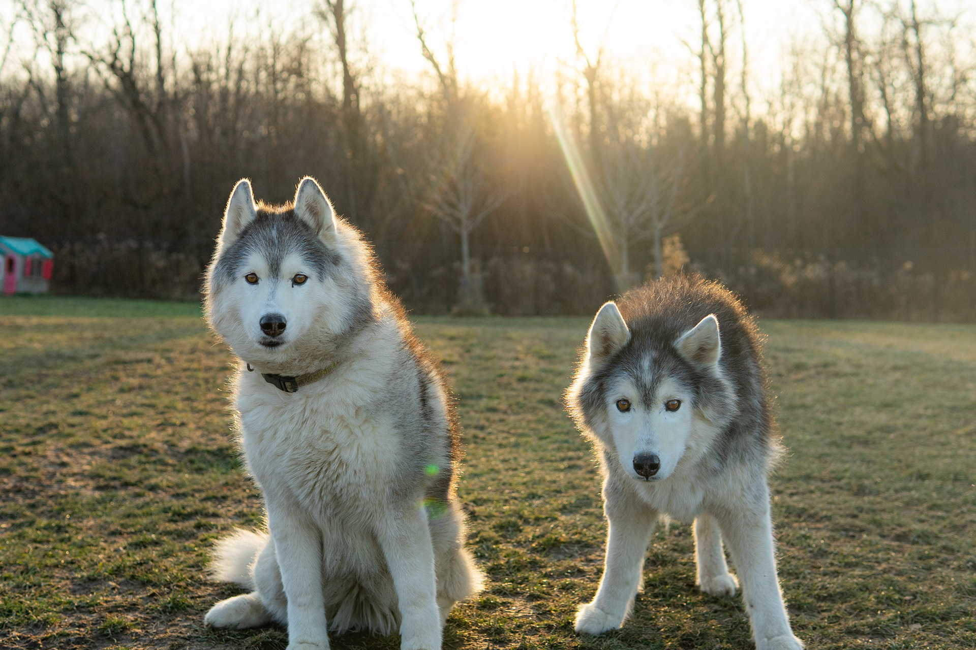 keeta & kira