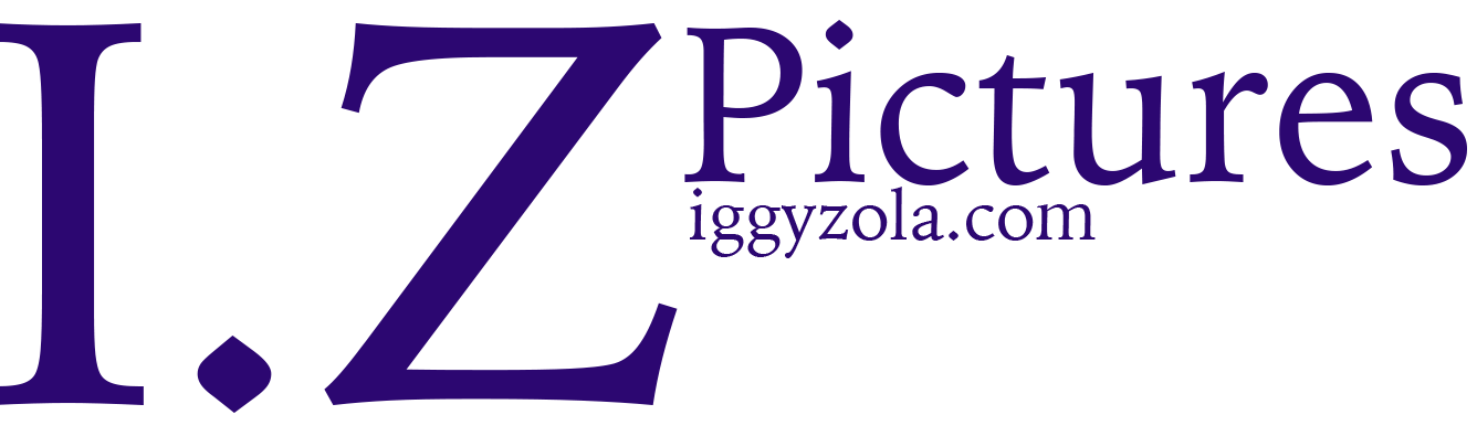 Iggyzola Assink