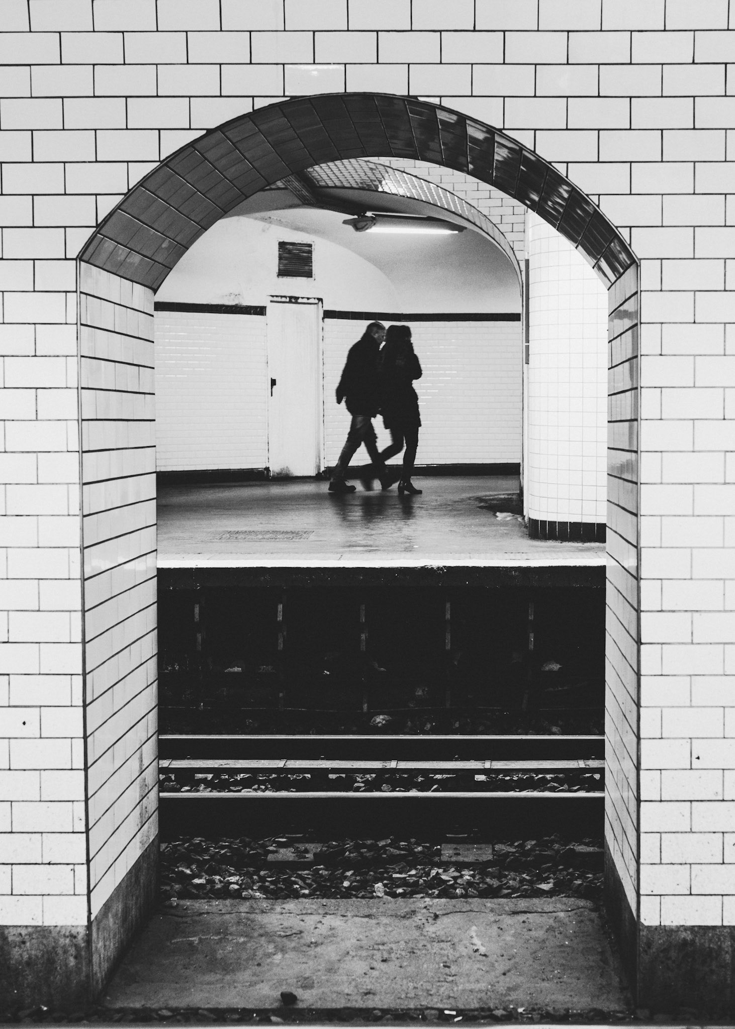 Underground life 1