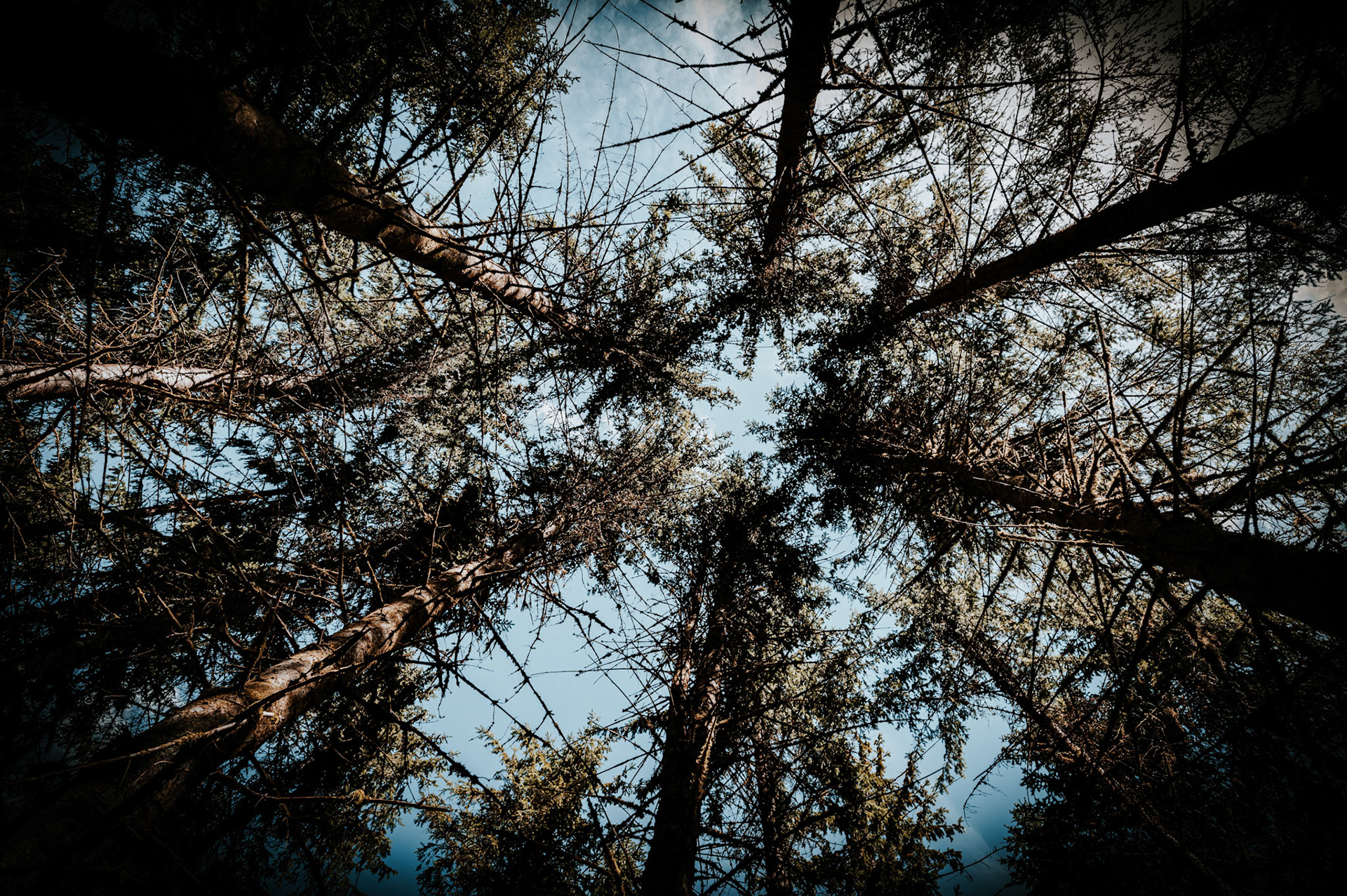 Le Jura Night & Day 3