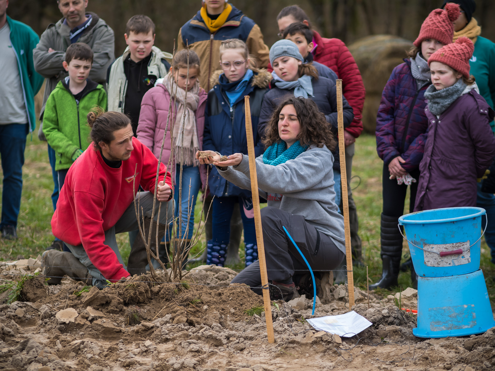 Comment planter un arbre