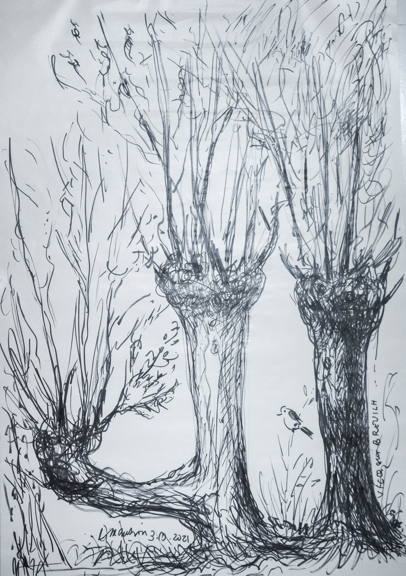 Dessin de trogne, Dominique Mansion