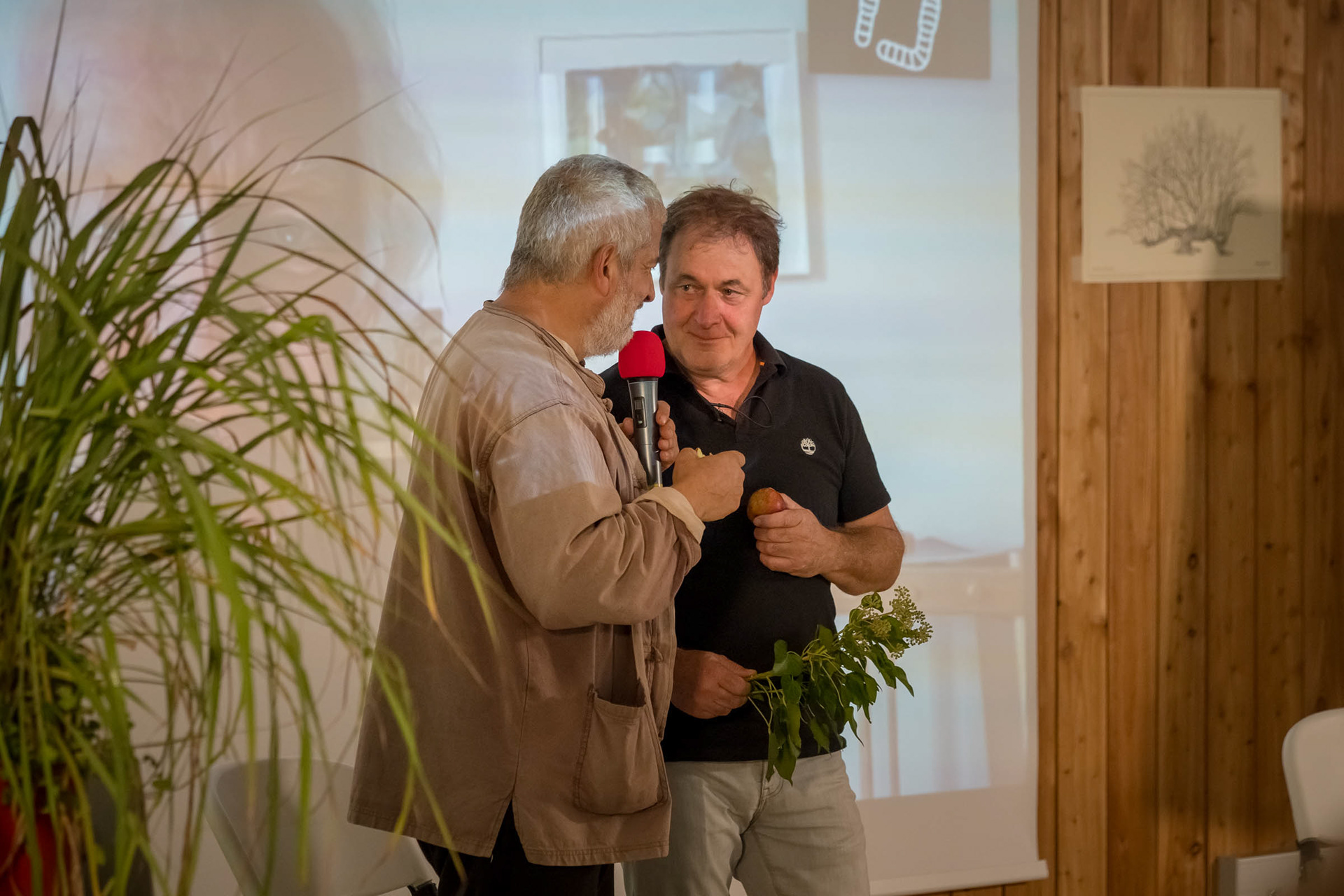 Hervé Coves et Alain Canet, Ap32