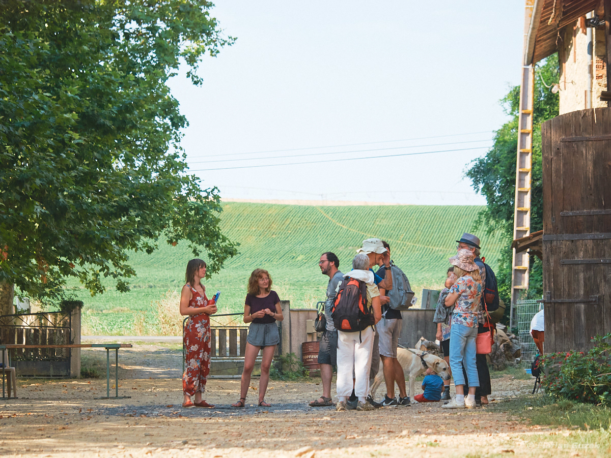 Public du festival