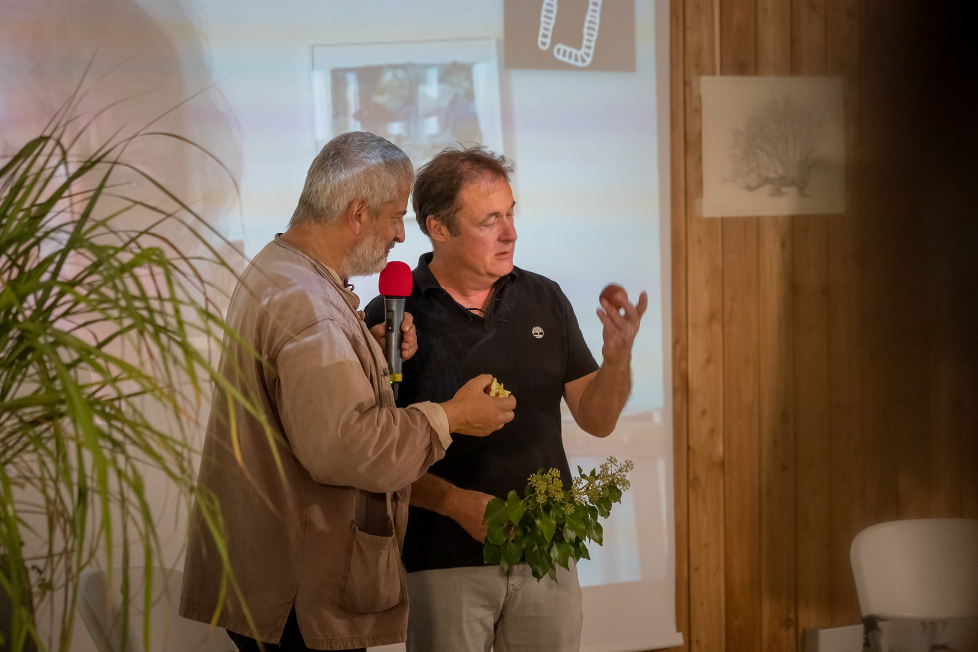 Hervé Coves et Alain Canet, Ap32