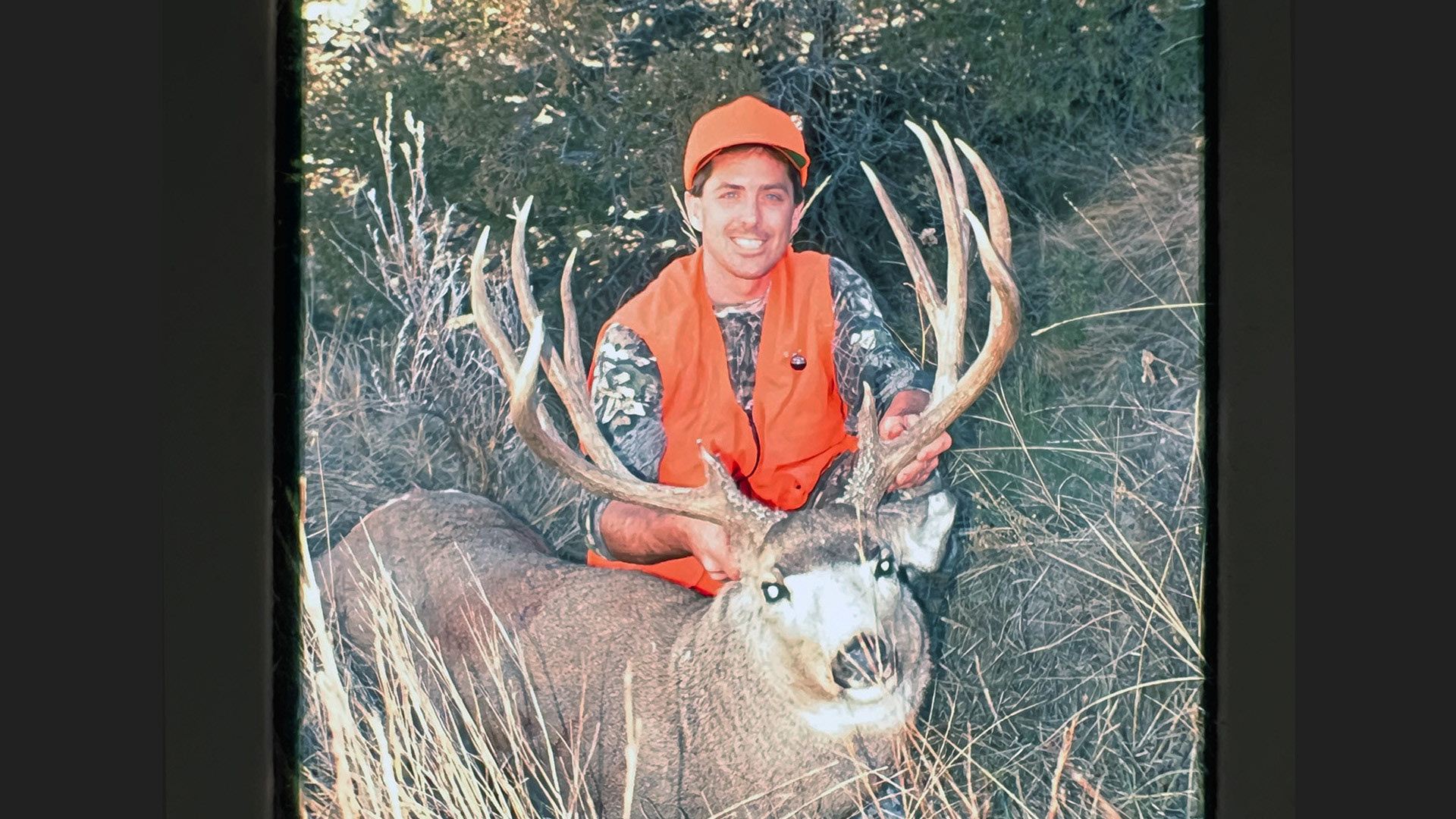 Blake Porter's Montana Muledeer